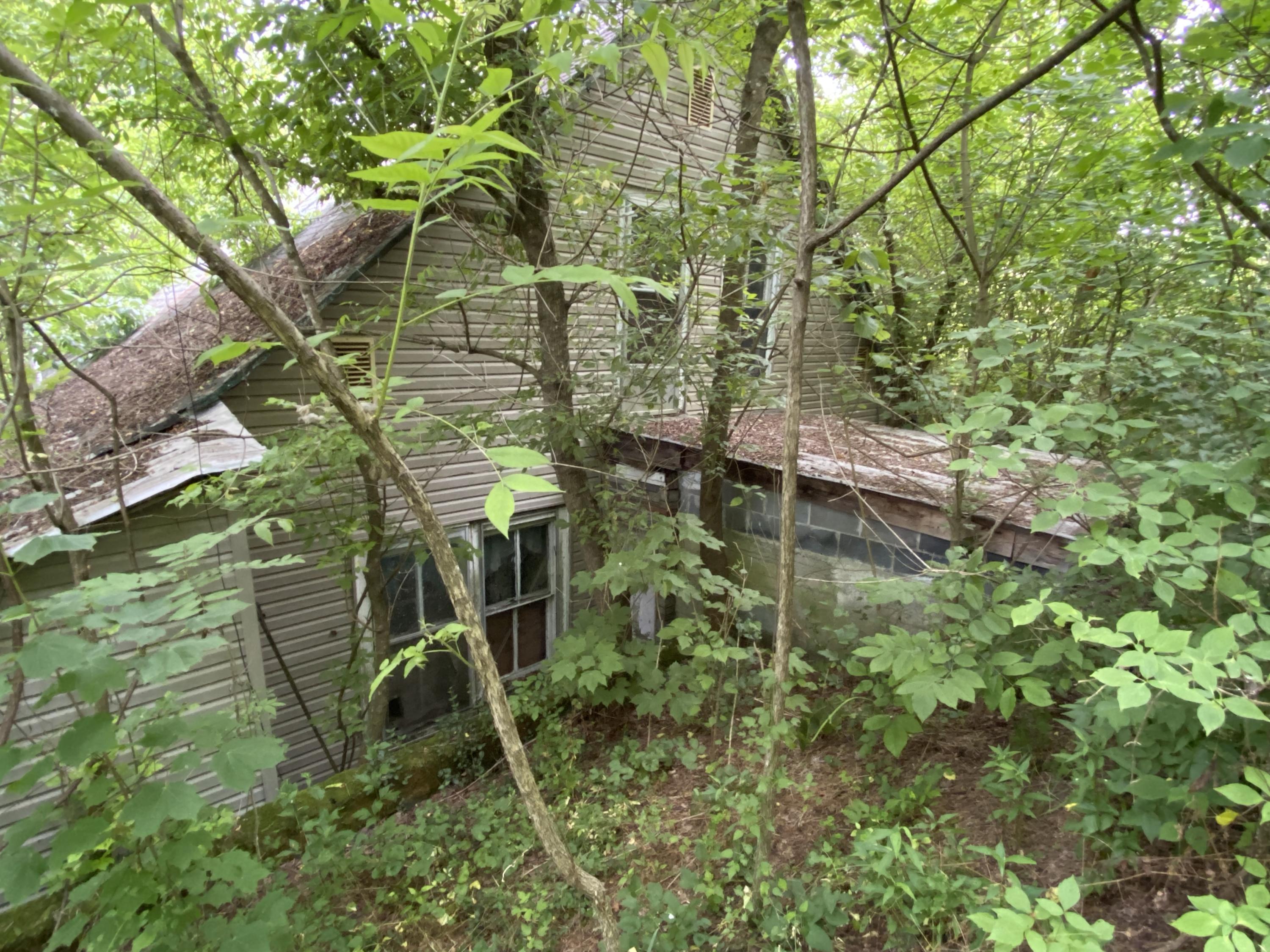 145 Cedar Branch Road Saltville, VA 24370 - Photo 16 of 64 83931715-D810-45D0-9D27-5BEE1350C59B
