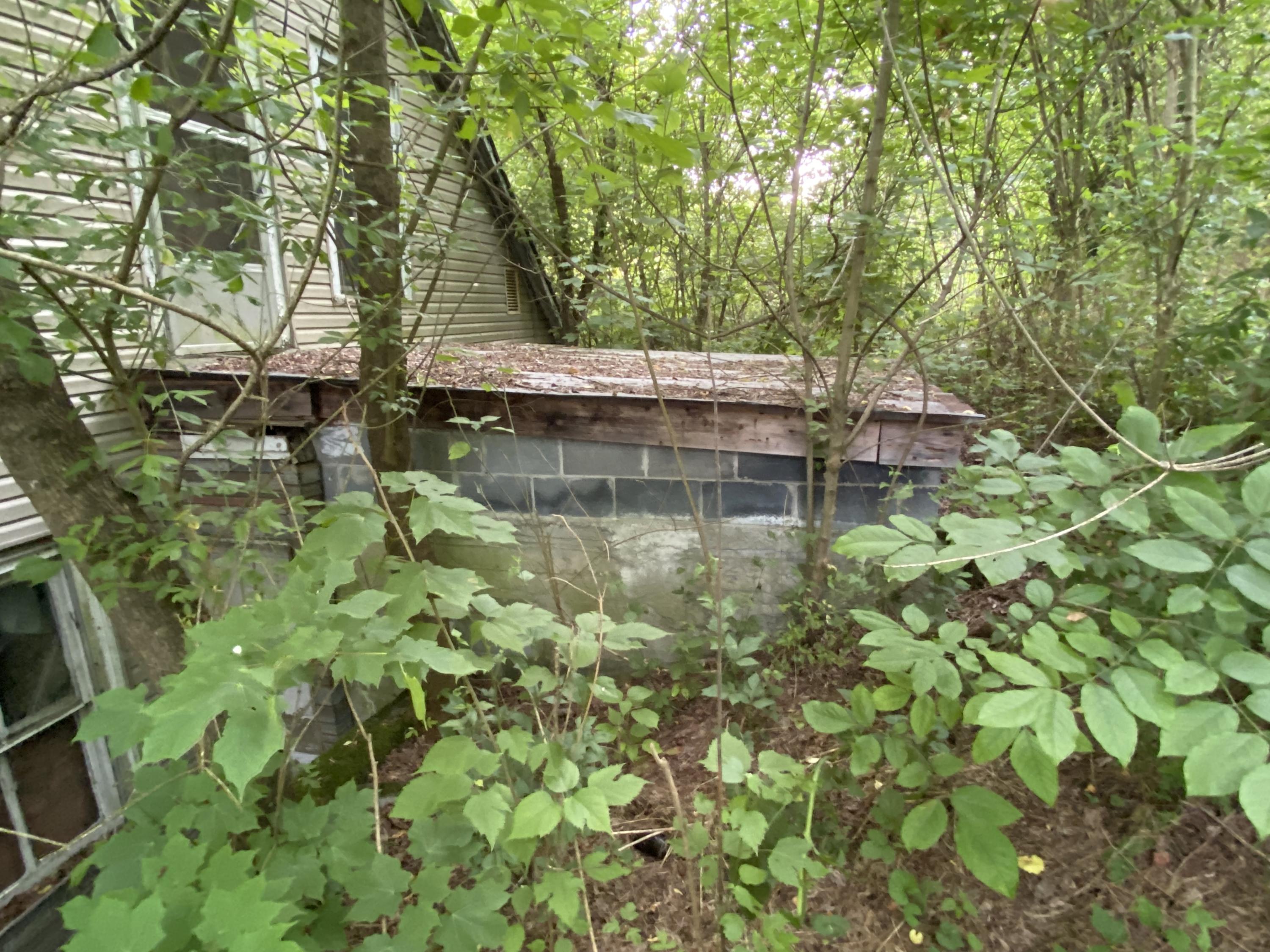 145 Cedar Branch Road Saltville, VA 24370 - Photo 18 of 64 7A74ABC1-2EE4-4492-988B-27097E41C6B9