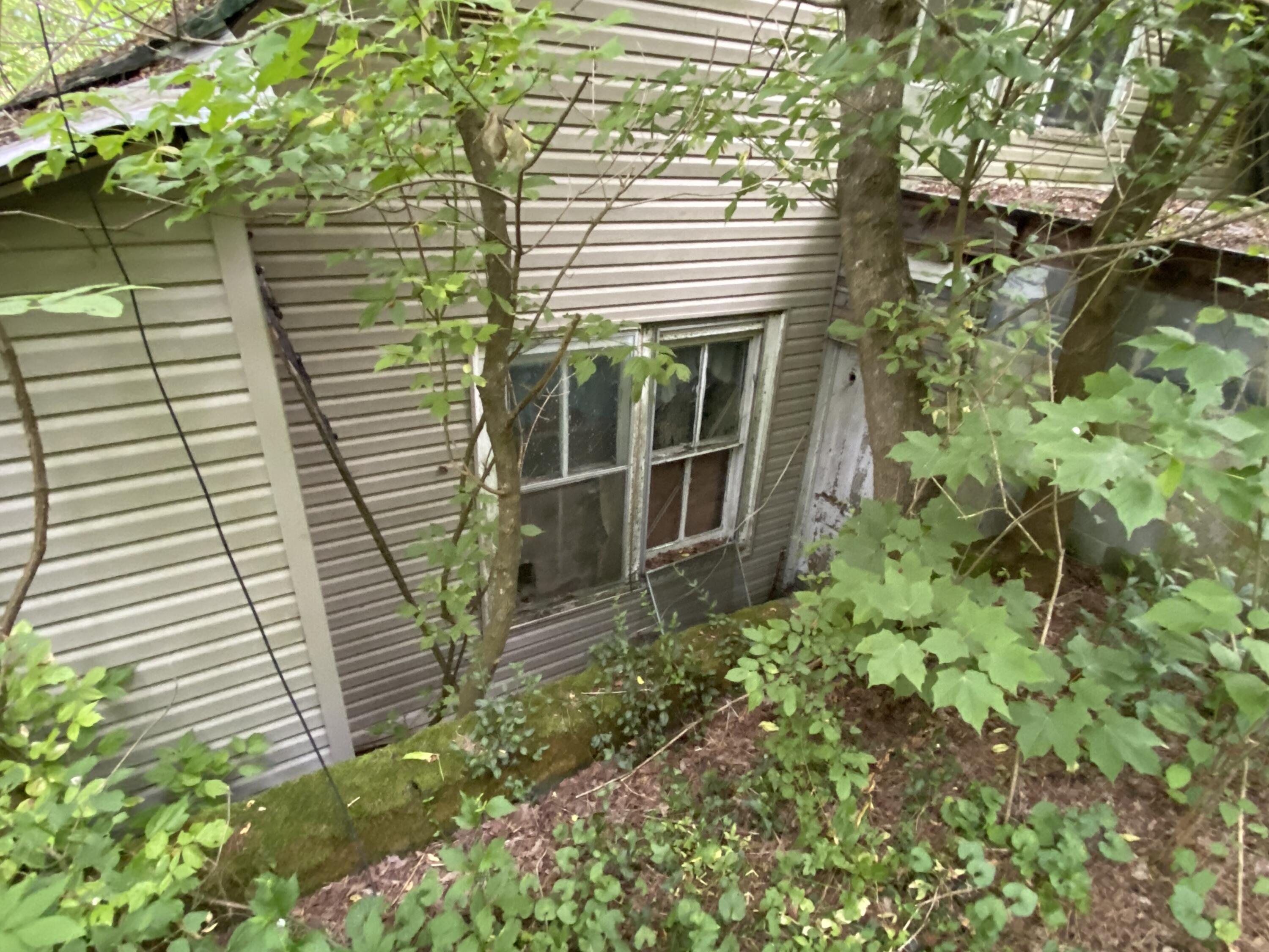 145 Cedar Branch Road Saltville, VA 24370 - Photo 19 of 64 54D953BA-4F26-476B-8E70-FC0C142F90B4