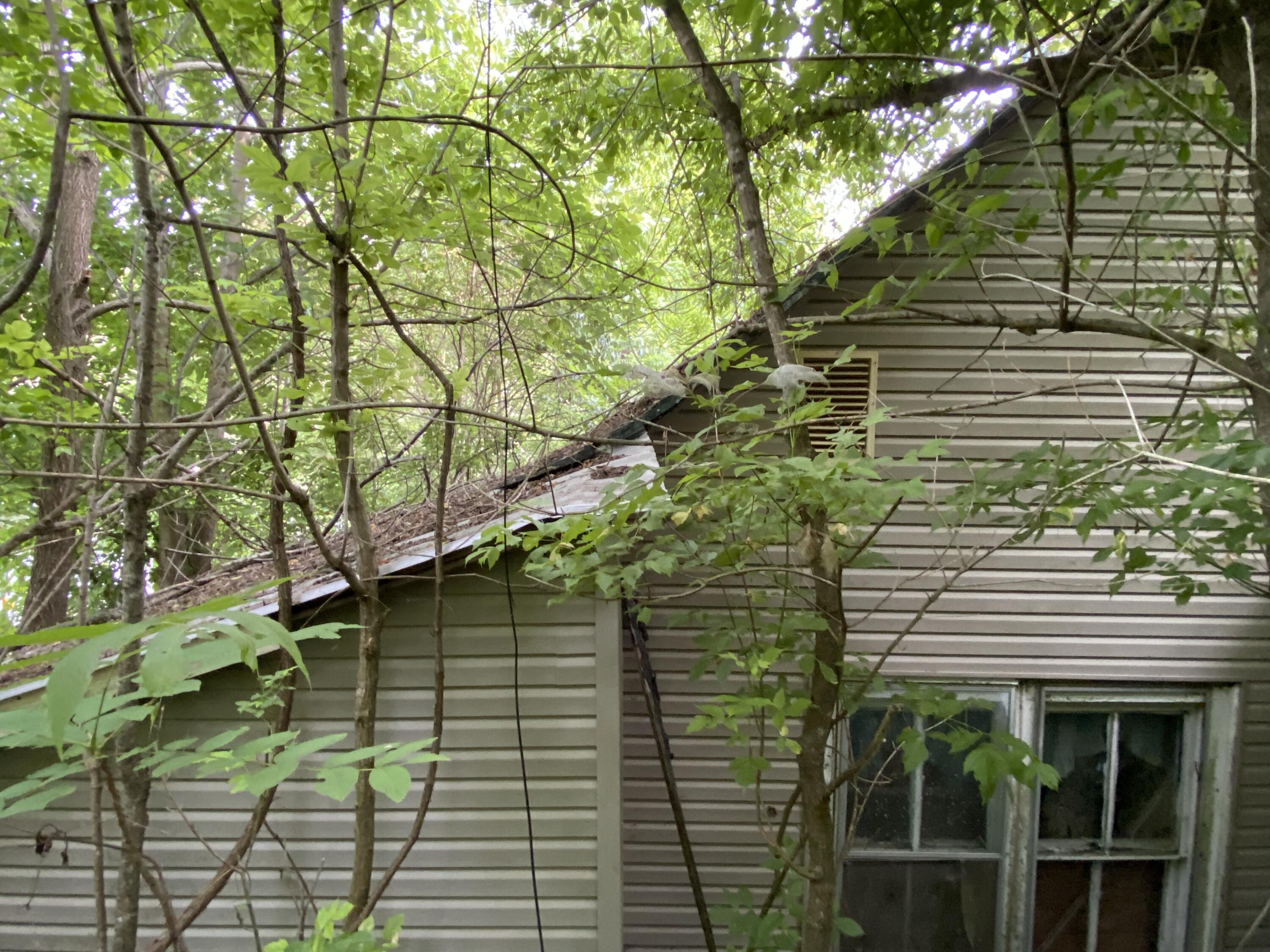 145 Cedar Branch Road Saltville, VA 24370 - Photo 20 of 64 97D403C9-228A-43B7-82D5-1FE258339194