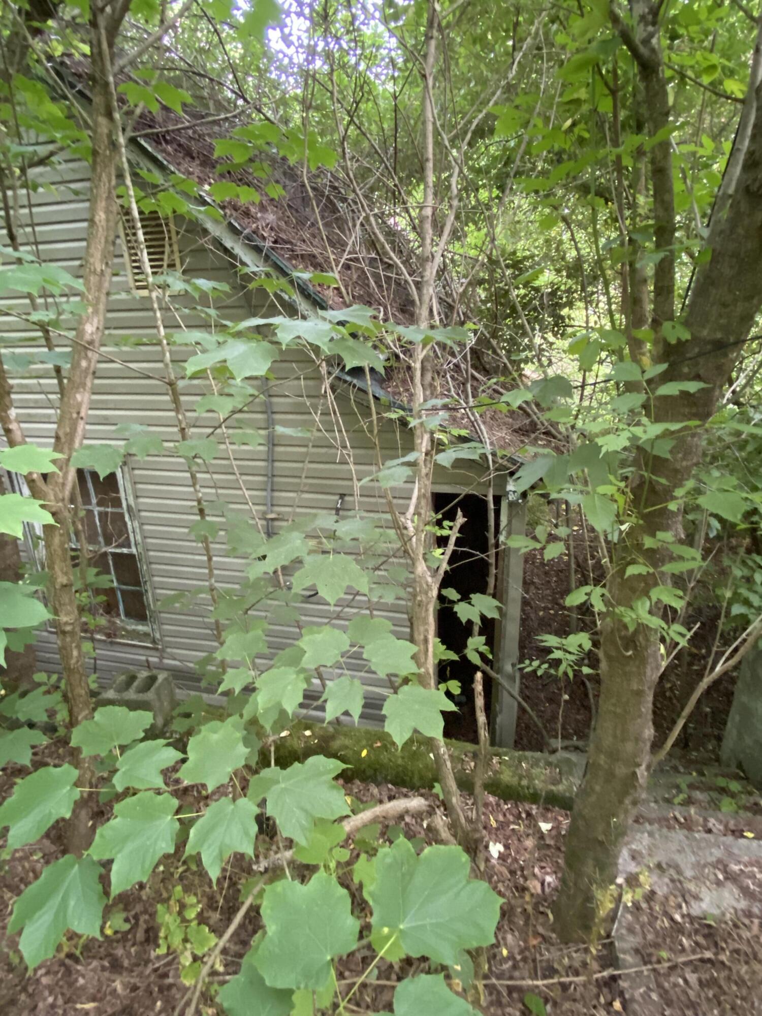 145 Cedar Branch Road Saltville, VA 24370 - Photo 22 of 64 90C8652E-053E-40B6-9E62-EED3FDF53C66