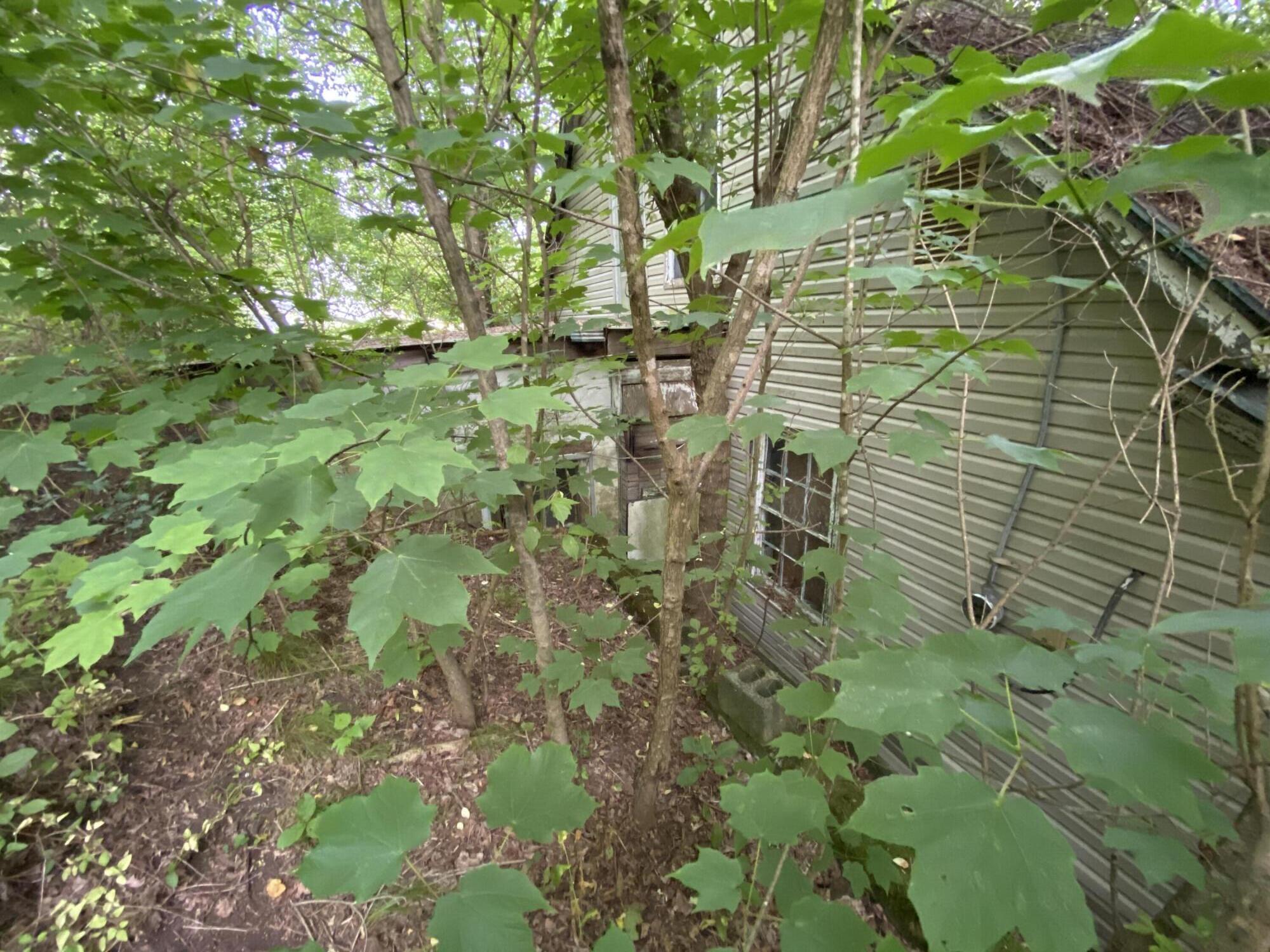 145 Cedar Branch Road Saltville, VA 24370 - Photo 23 of 64 3F5C8B09-5A34-432F-AED8-90A28388B174