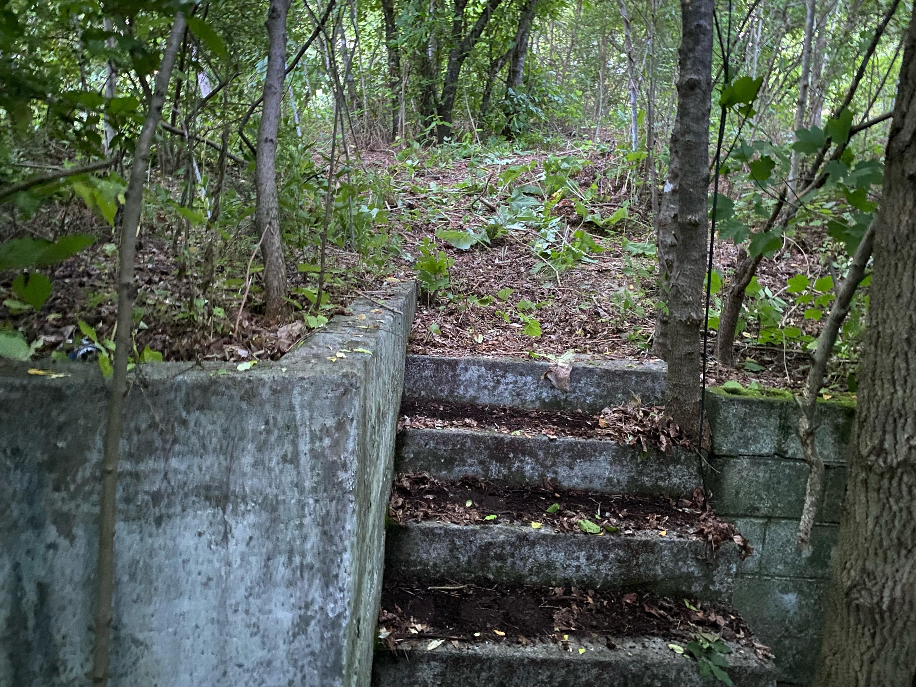 145 Cedar Branch Road Saltville, VA 24370 - Photo 3 of 64 F46552D4-47F7-4106-A5F7-DE79DC02B3AA