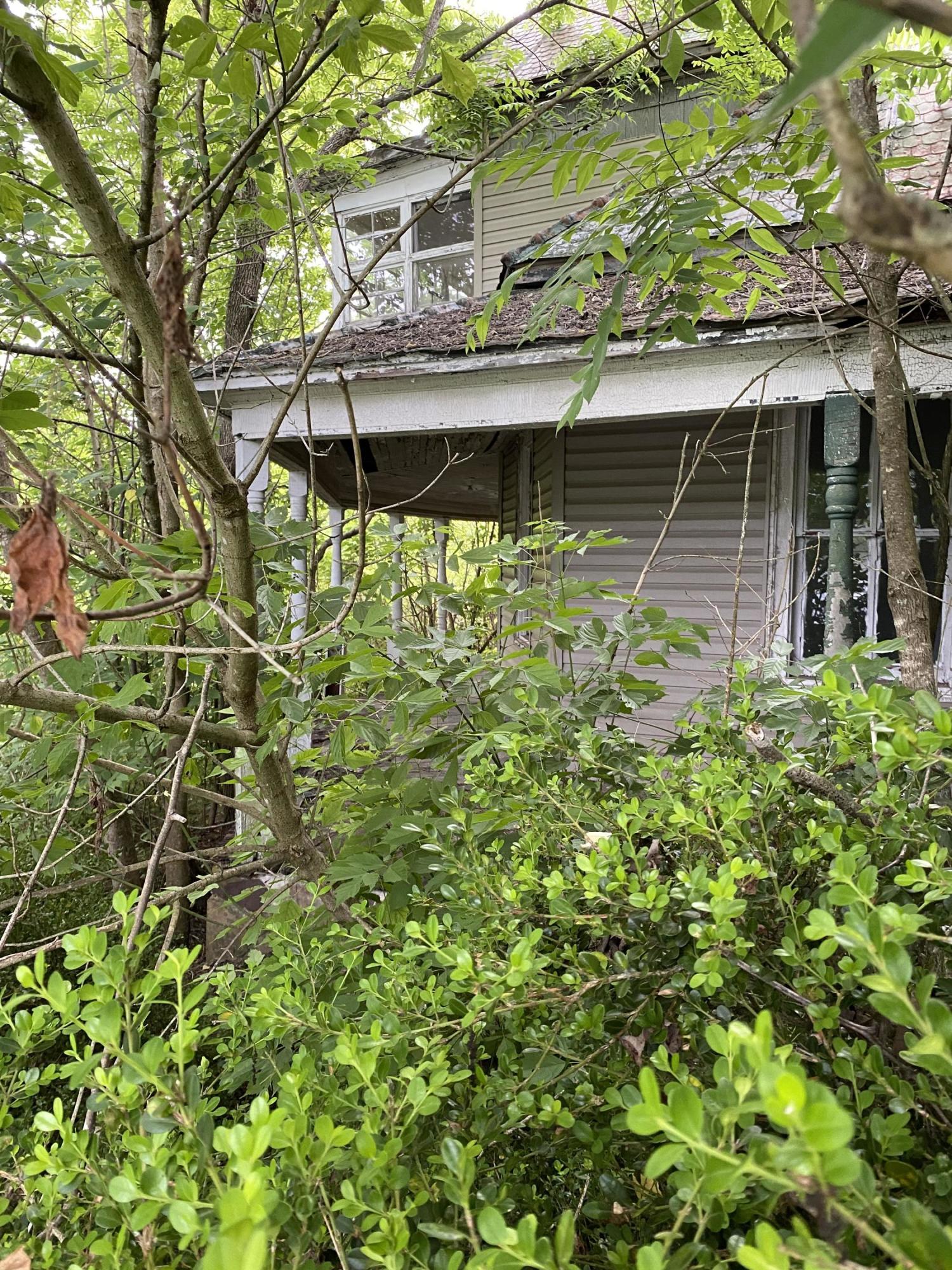 145 Cedar Branch Road Saltville, VA 24370 - Photo 41 of 64 ADB17F7F-45D1-4353-80AF-59B6A37777DC