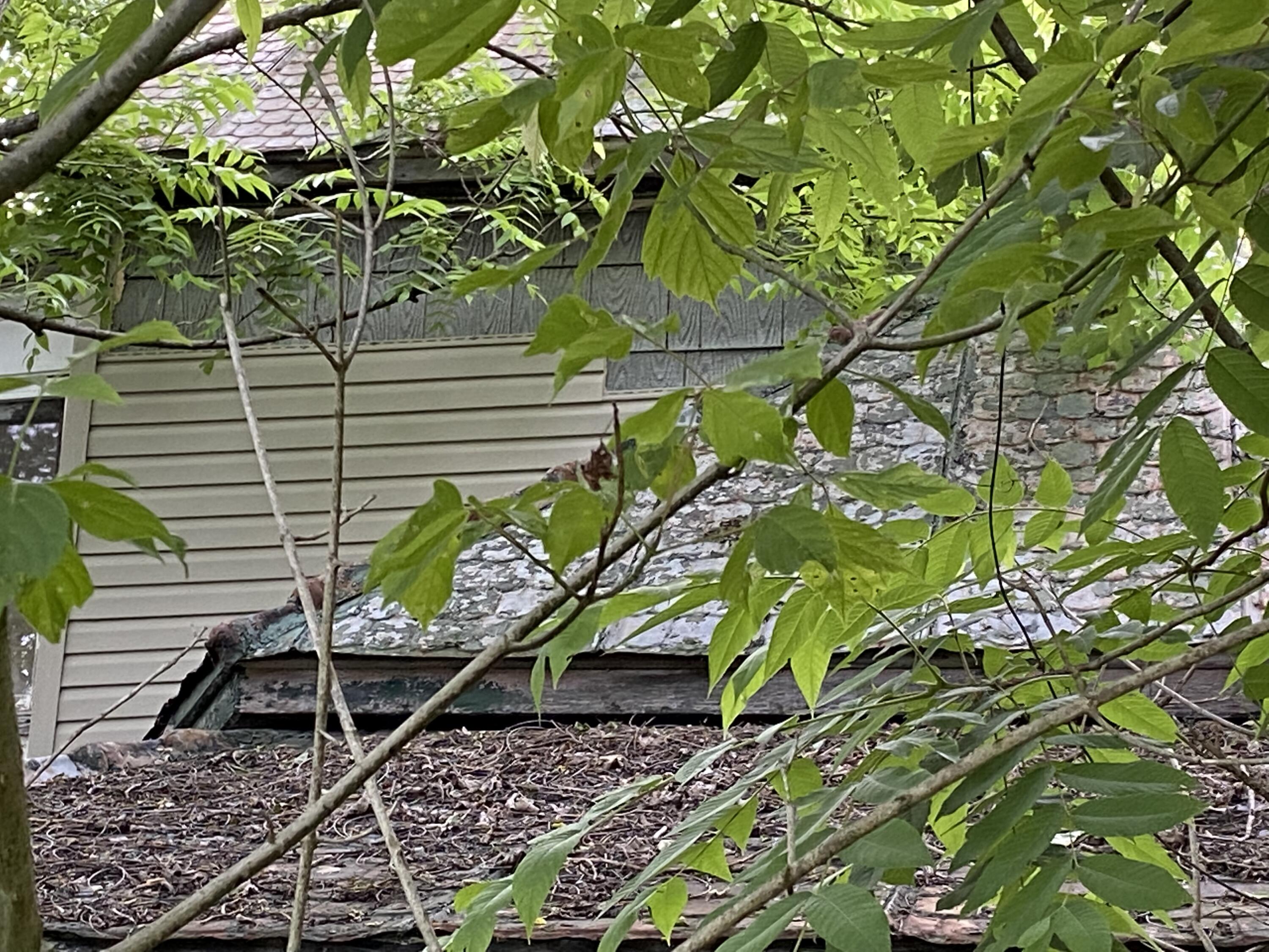 145 Cedar Branch Road Saltville, VA 24370 - Photo 43 of 64 1A6D949E-C9B4-4DBF-A08B-E435A3F8B74A