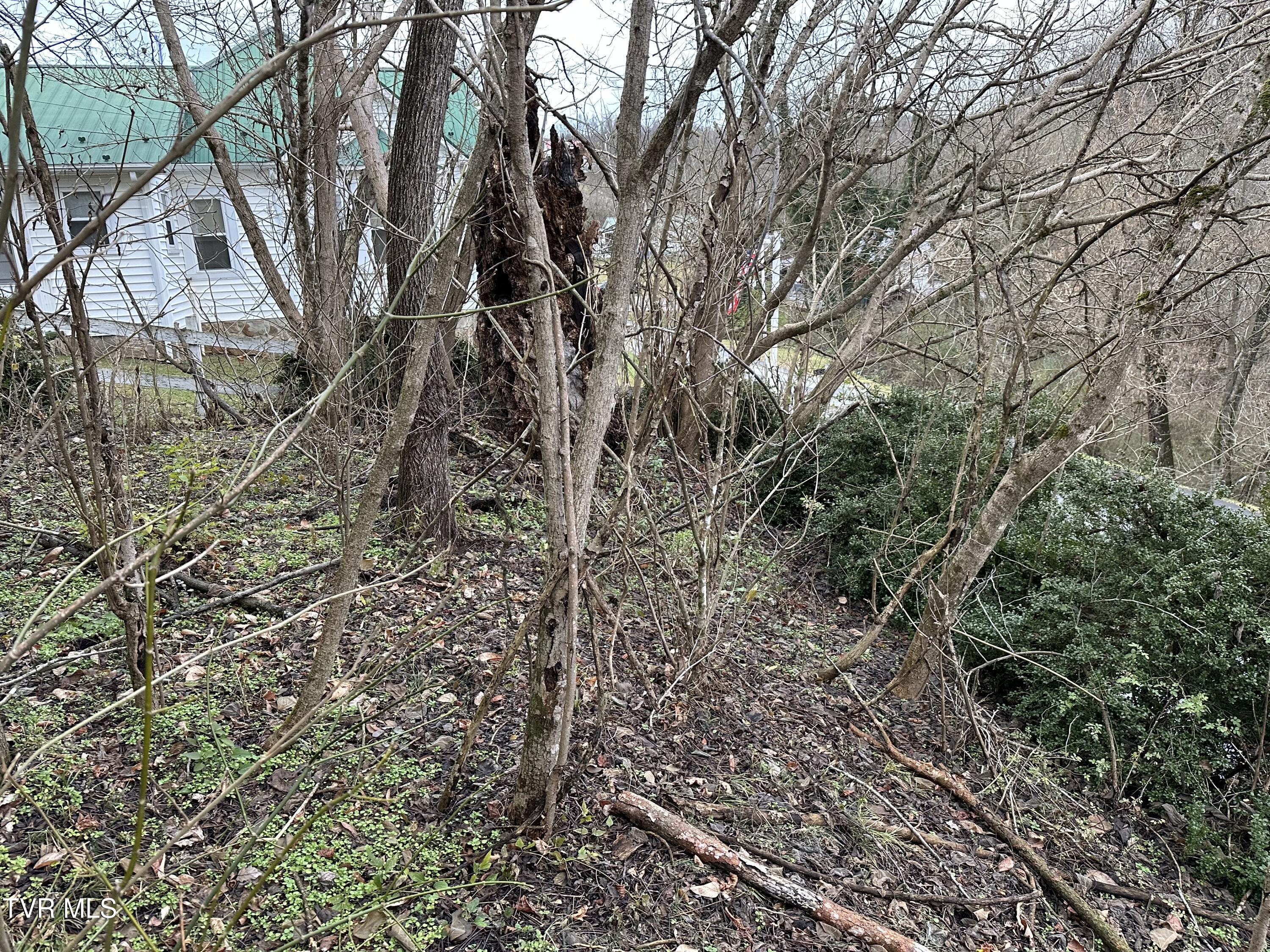 145 Cedar Branch Road Saltville, VA 24370 - Photo 47 of 64 IMG_0179