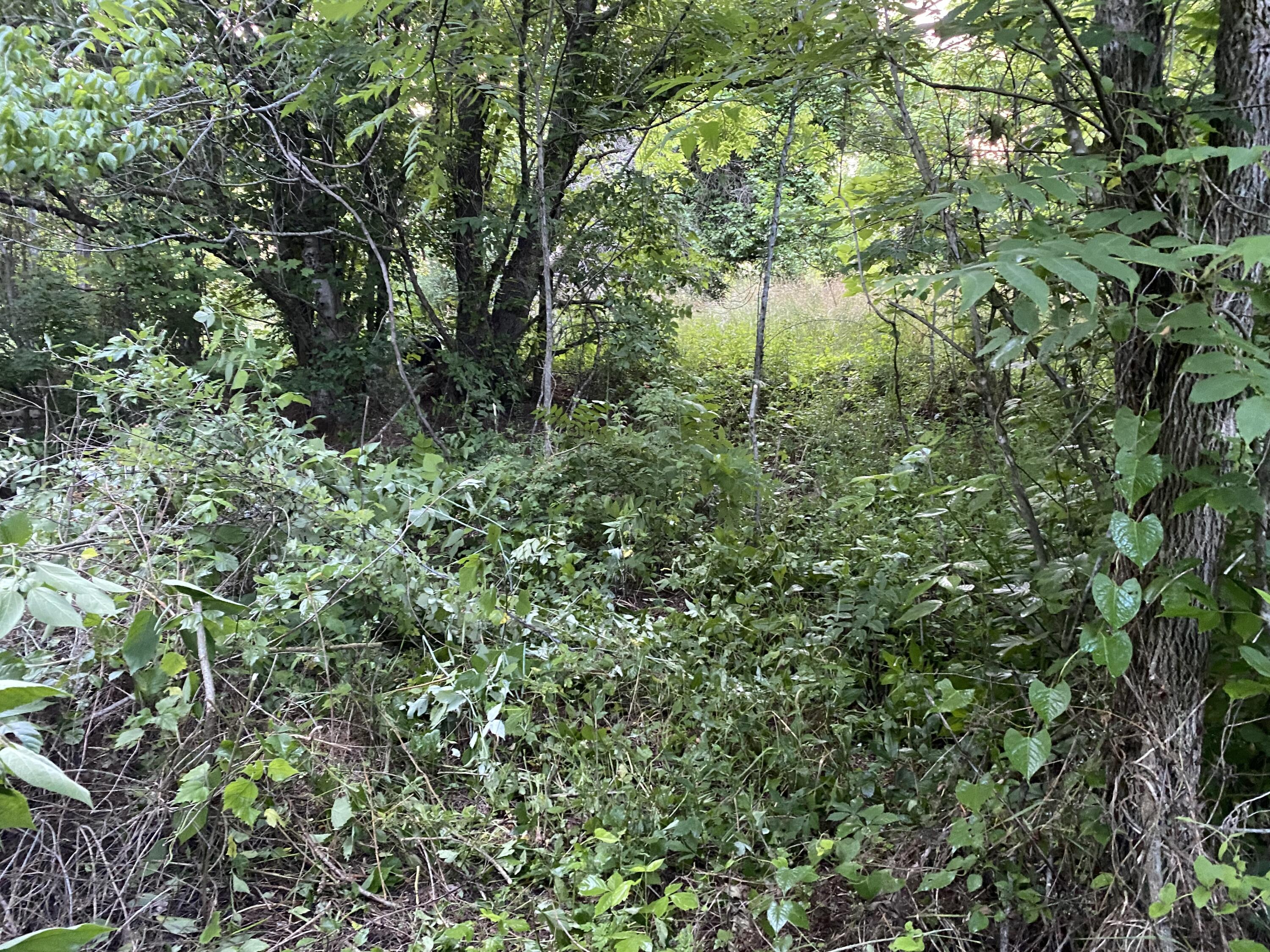 145 Cedar Branch Road Saltville, VA 24370 - Photo 5 of 64 5F4C95C4-4B2F-4355-9504-205505EFD522