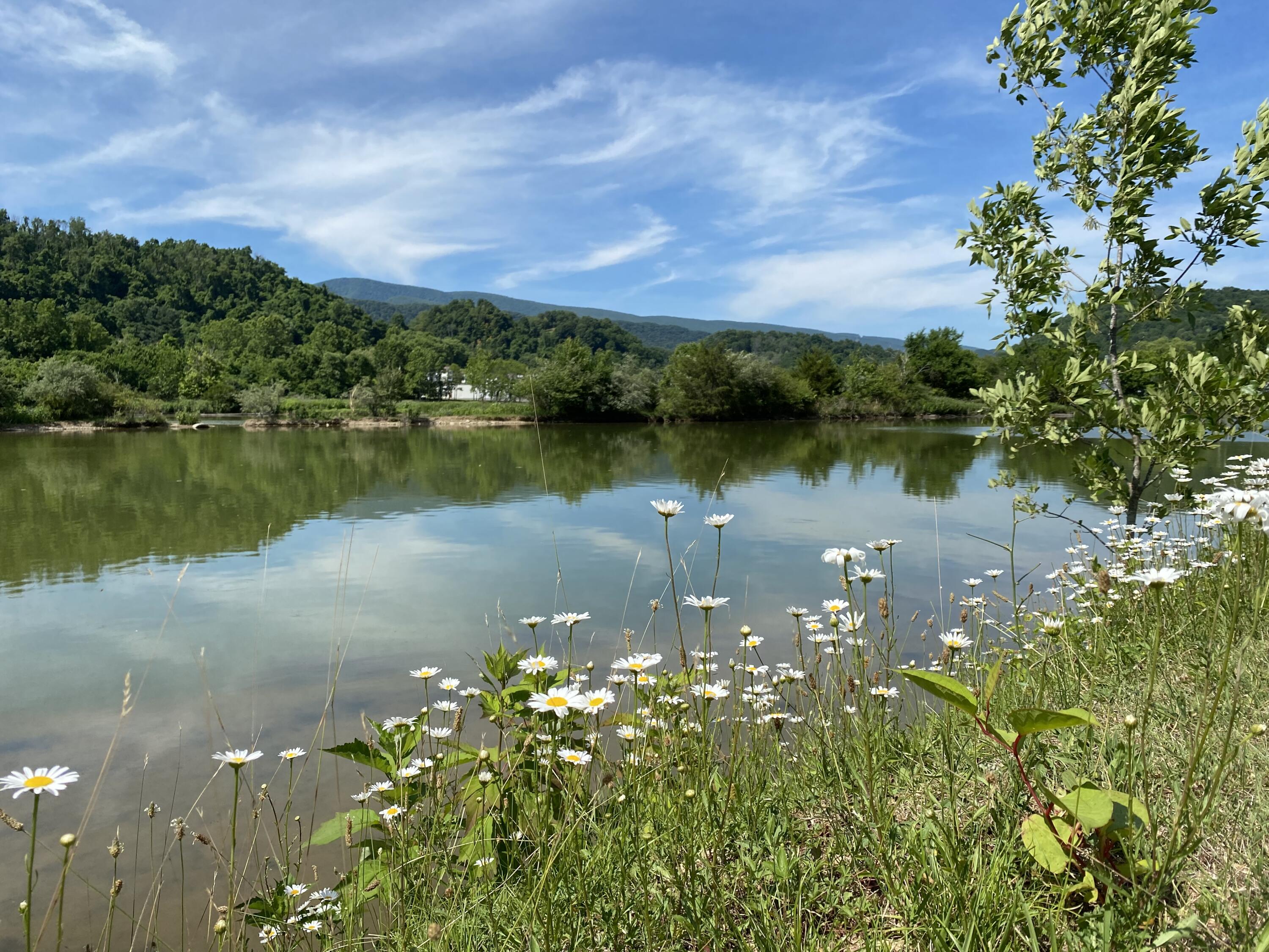 145 Cedar Branch Road Saltville, VA 24370 - Photo 58 of 64 B513F04F-6D3C-4674-ADD0-ECA85BA87BFC