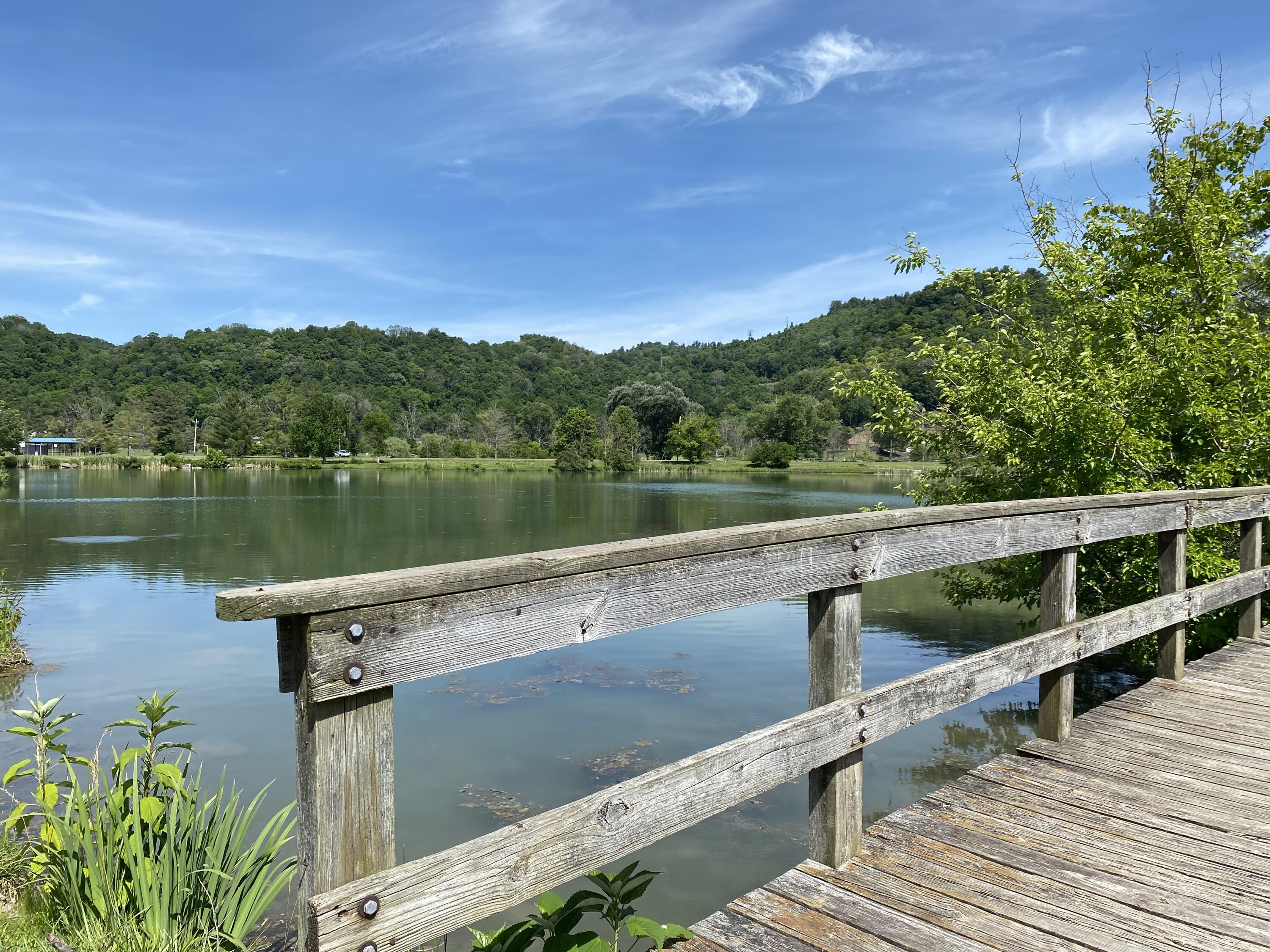 145 Cedar Branch Road Saltville, VA 24370 - Photo 59 of 64 D8CF9319-91D2-4C07-A1A5-41097E02951C
