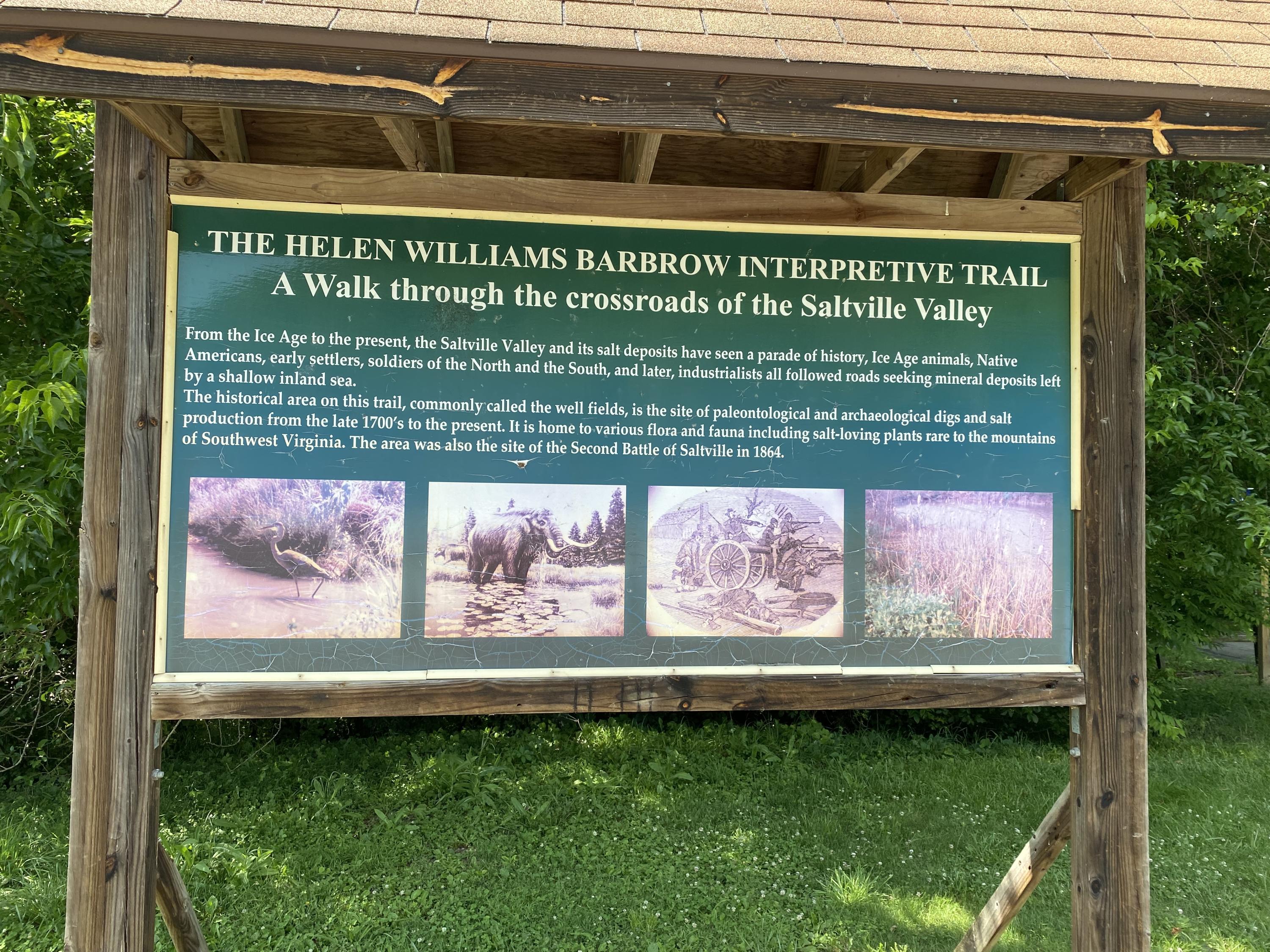 145 Cedar Branch Road Saltville, VA 24370 - Photo 62 of 64 FD3B101A-B8AD-40FD-B329-FF4A3177E202