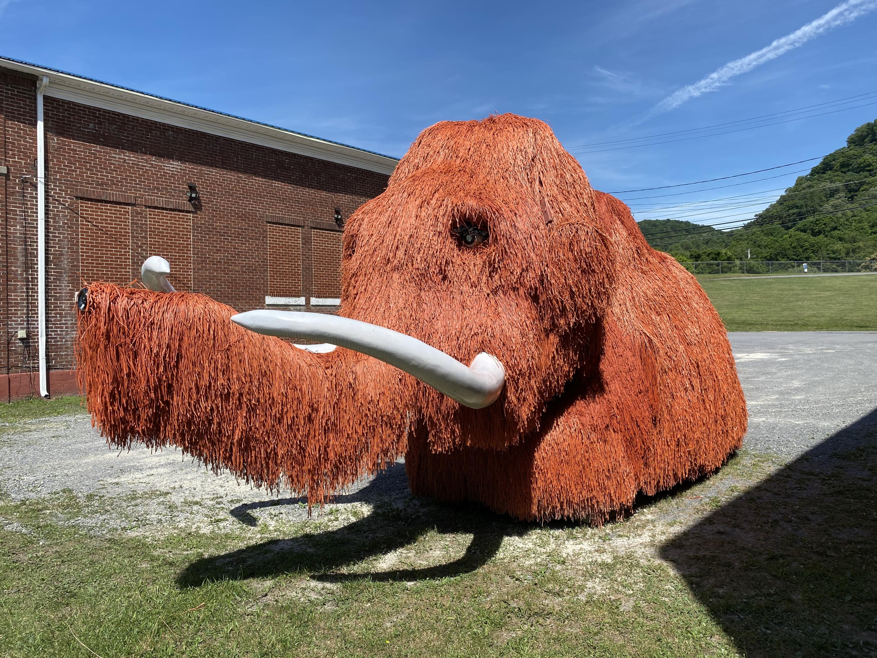 145 Cedar Branch Road Saltville, VA 24370 - Photo 64 of 64 12CABC24-AC11-4B6B-9D7D-BE2689247884