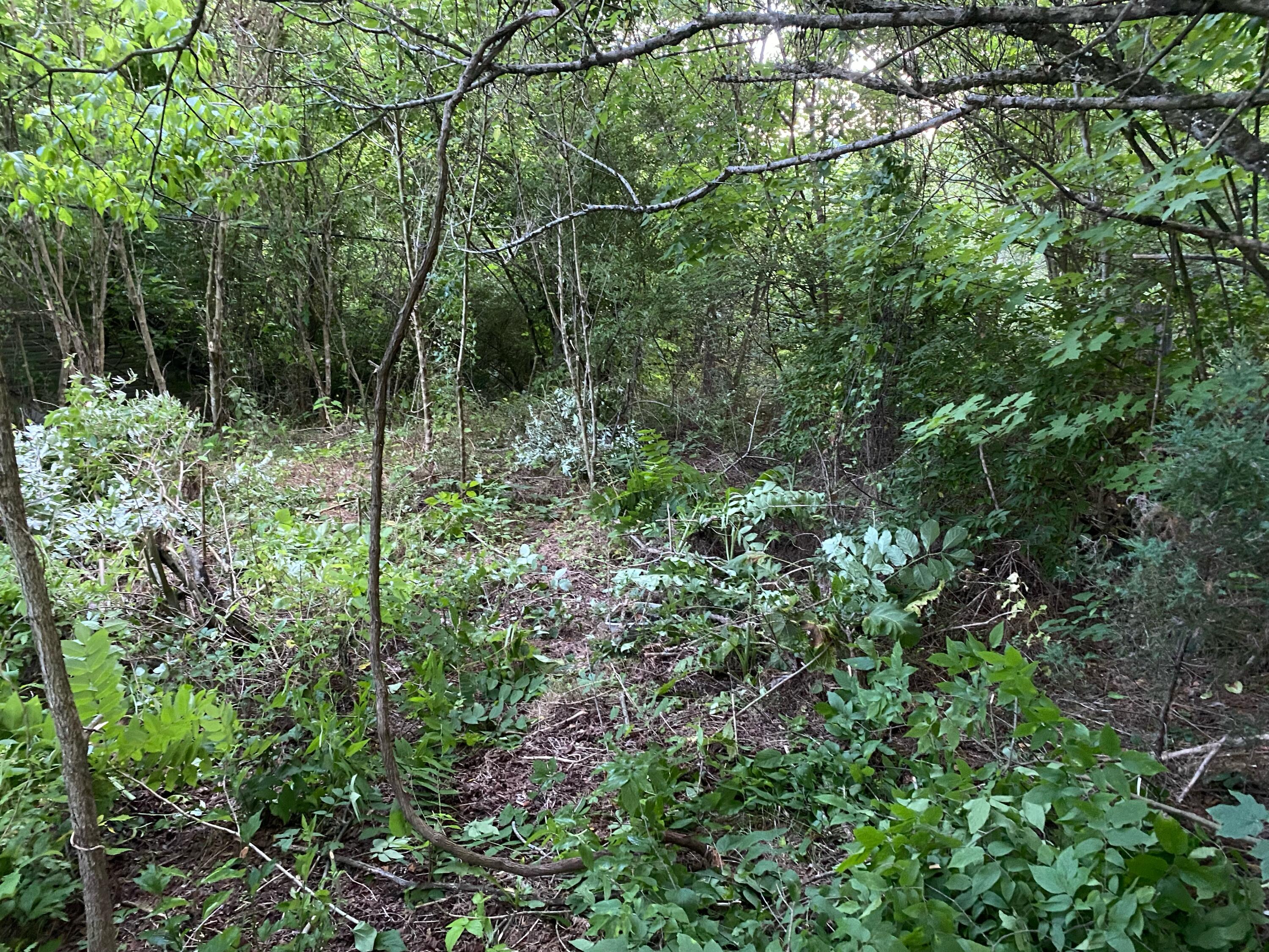 145 Cedar Branch Road Saltville, VA 24370 - Photo 9 of 64 64787553-DDAB-4863-AC8D-26CDD71AD7B4