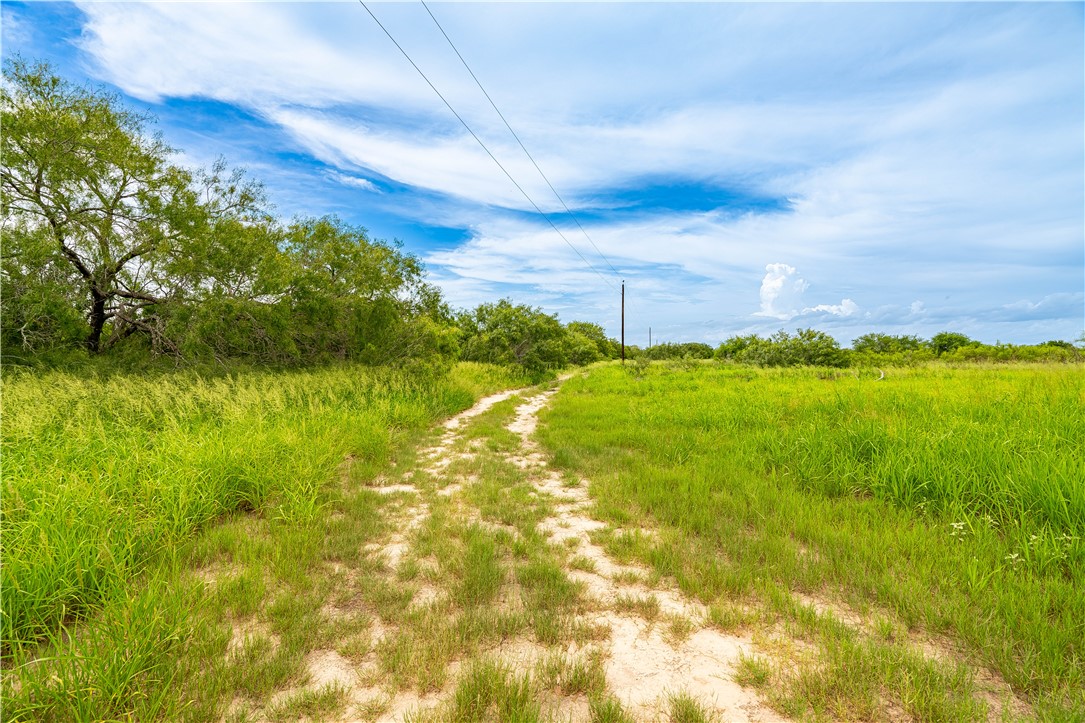 229 Fm 628 Riviera, TX 78379 - Photo 5 of 15