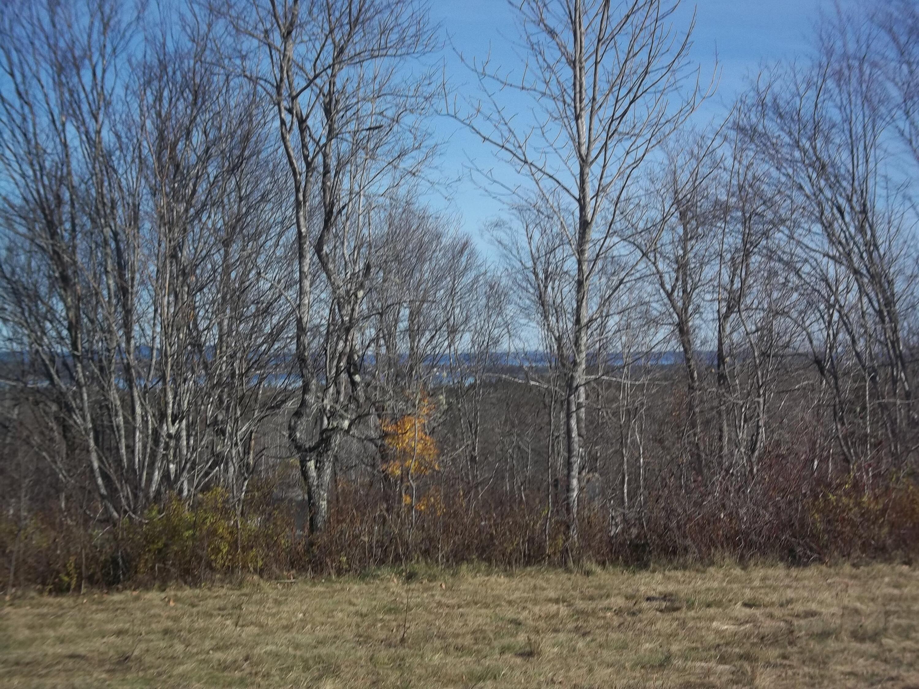285 Ridge Road Robbinston, ME 04671 - Photo 33 of 46 100_1076
