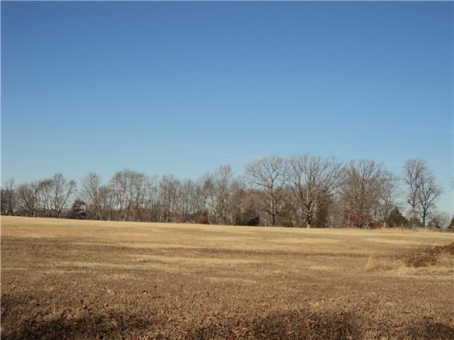 2 Hwy 49e Springfield Tn 37172 Springfield, TN 37172 - Photo 2 of 3