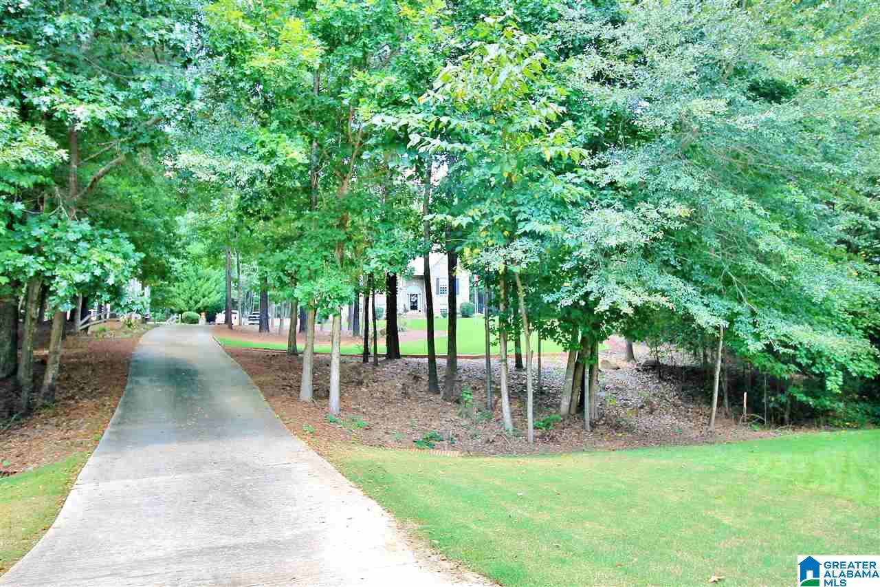 137 Cameron Drive Chelsea, AL 35043 - Photo 4 of 30