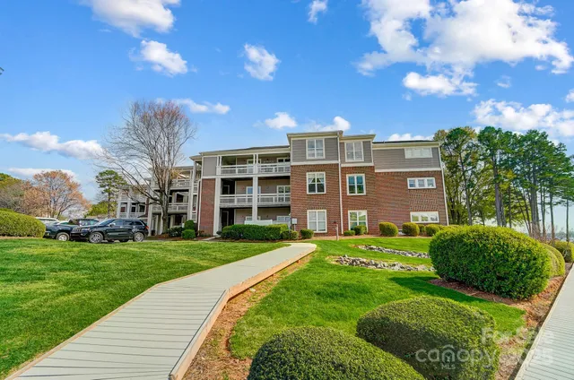 a view of a big yard with a large tree