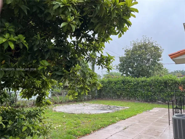 a view of a yard with plants and large trees