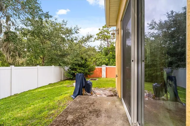 a view of a garden with a chair