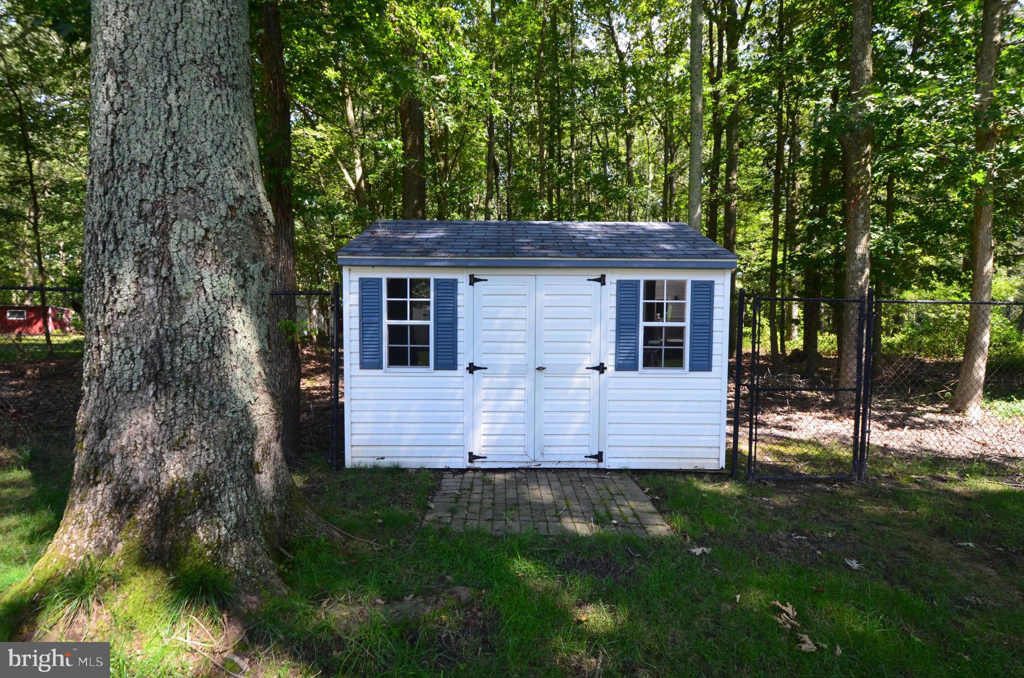 746 Masons Beach Road Deale, MD 20751 - Photo 43 of 47 Shed