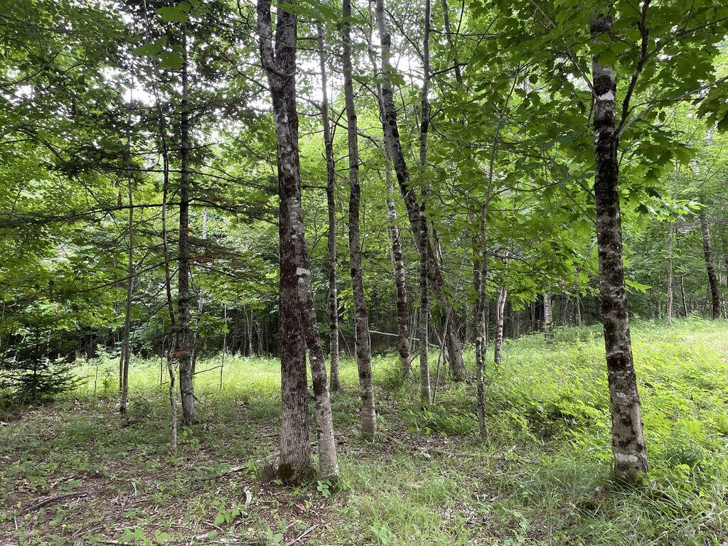 0 Lesperance Road Albion, ME 04910 - Photo 10 of 43 HdzvxgDw - Copy