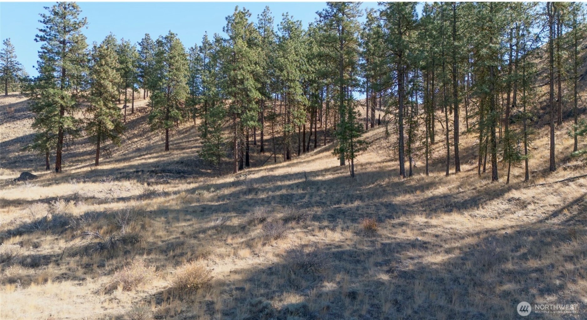 54 Wolf Holler Road Waterville, WA 98858 - Photo 5 of 14