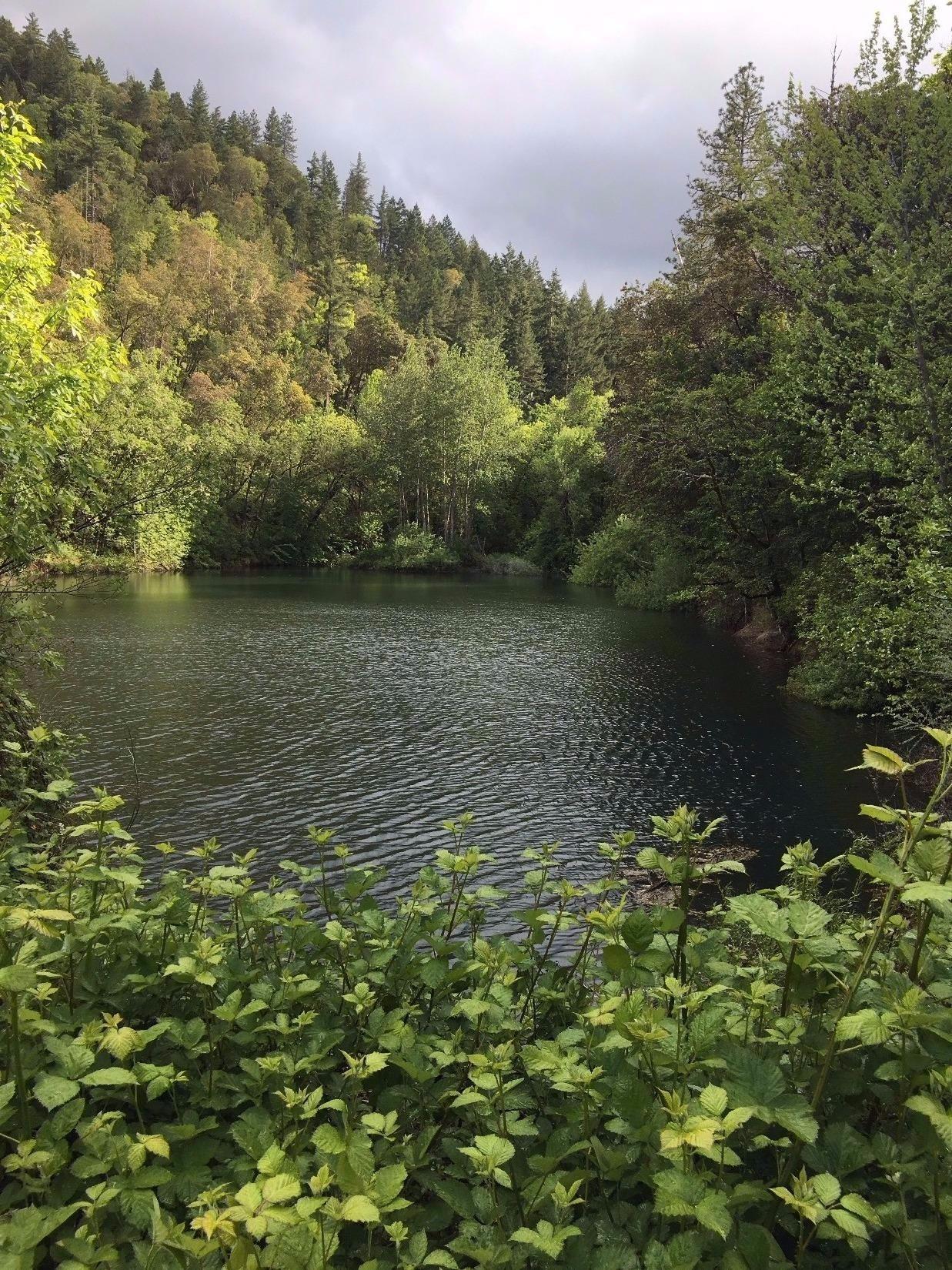 5401 Old Stage Road Central Point, OR 97502 - Photo 34 of 35 Pond for Irr supply
