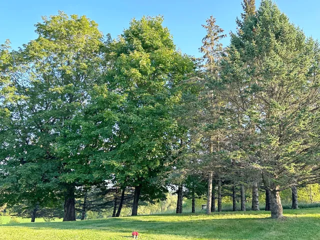 $999,999 | 3665 Pleason Avenue Northwest, Annandale, MN 55302