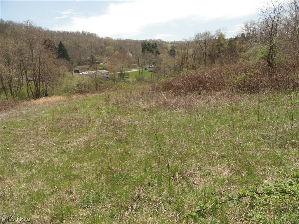 Johnsonville Road Chester, WV 26034 - Photo 10 of 20 Gallery Image 10