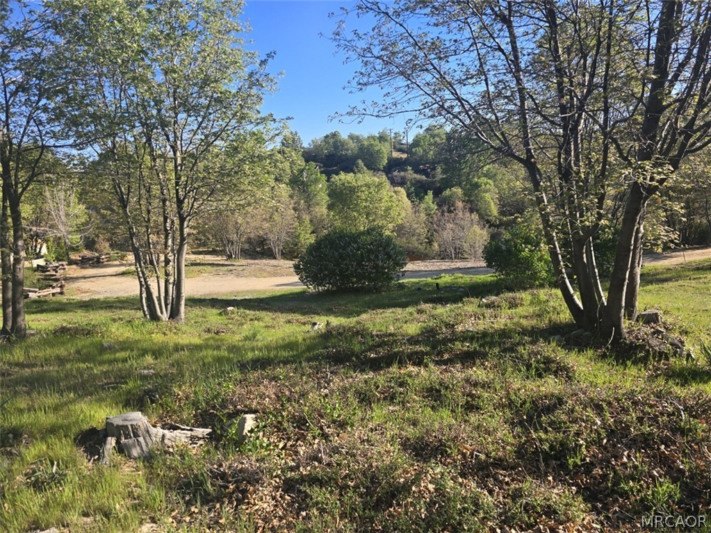 29783 Redwood Road Cedar Glen, CA 92321 - Photo 2 of 7