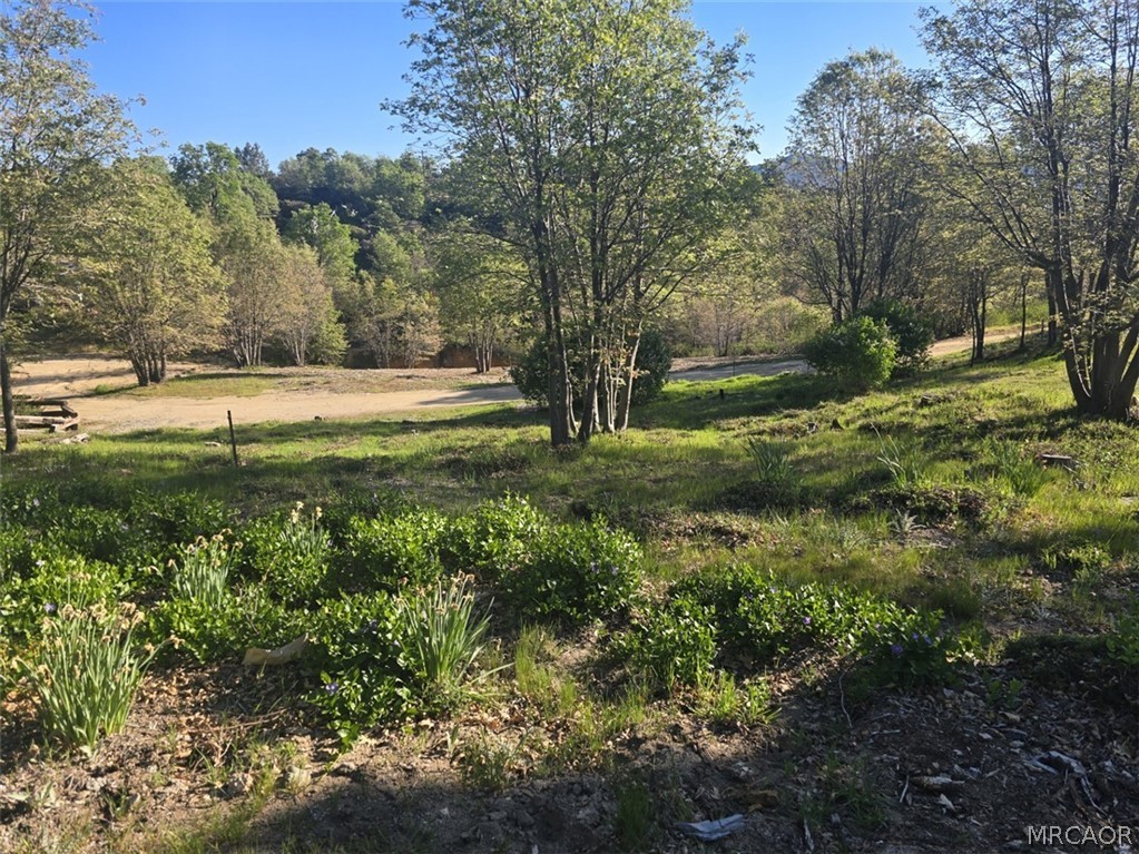 29783 Redwood Road Cedar Glen, CA 92321 - Photo 4 of 7