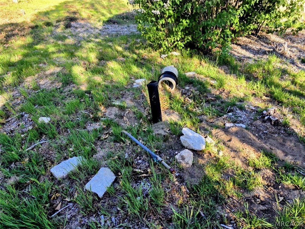 29783 Redwood Road Cedar Glen, CA 92321 - Photo 5 of 7