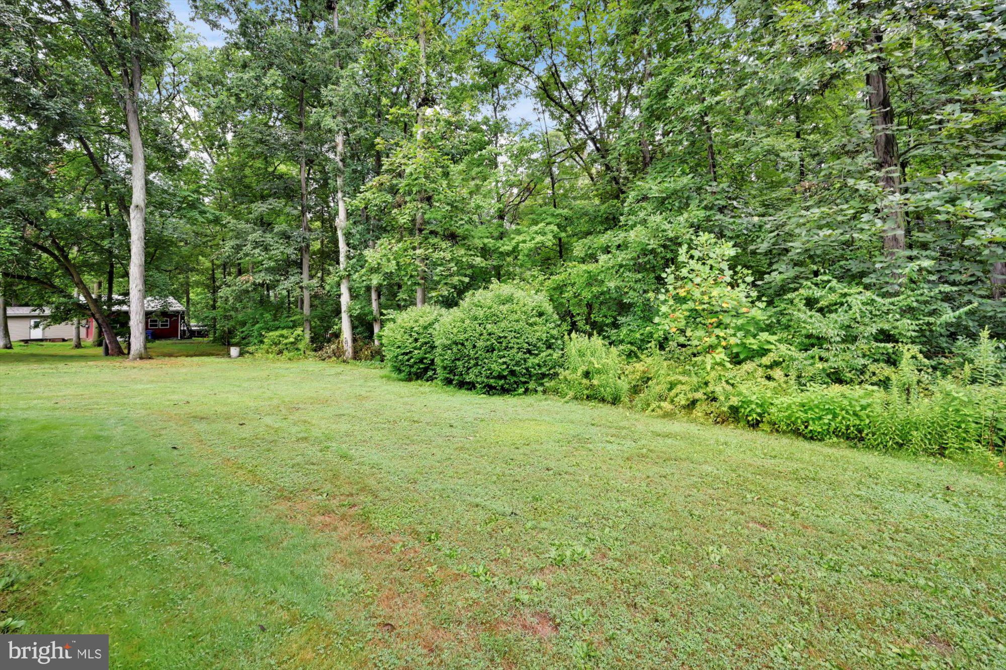685 Smokestown Road Denver, PA 17517 - Photo 28 of 28 Open Yard