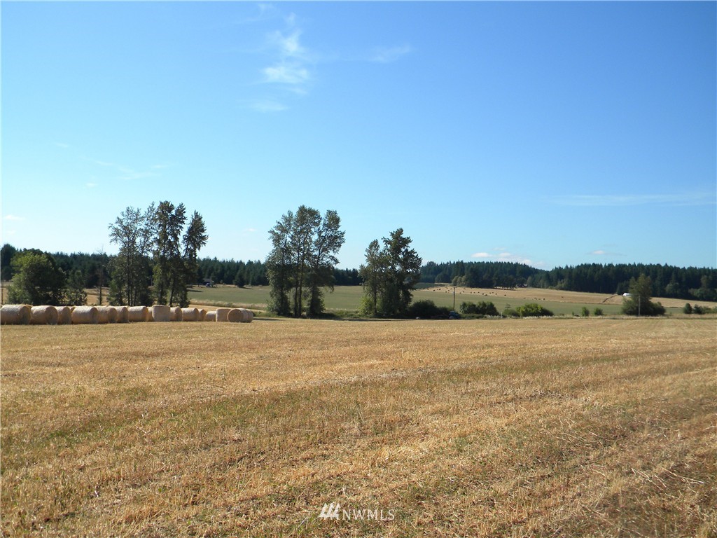 X Roth Road Winlock, WA 98596 - Photo 1 of 13