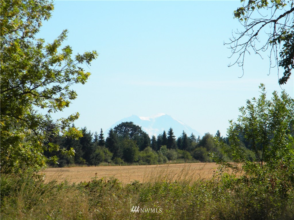 X Roth Road Winlock, WA 98596 - Photo 2 of 13