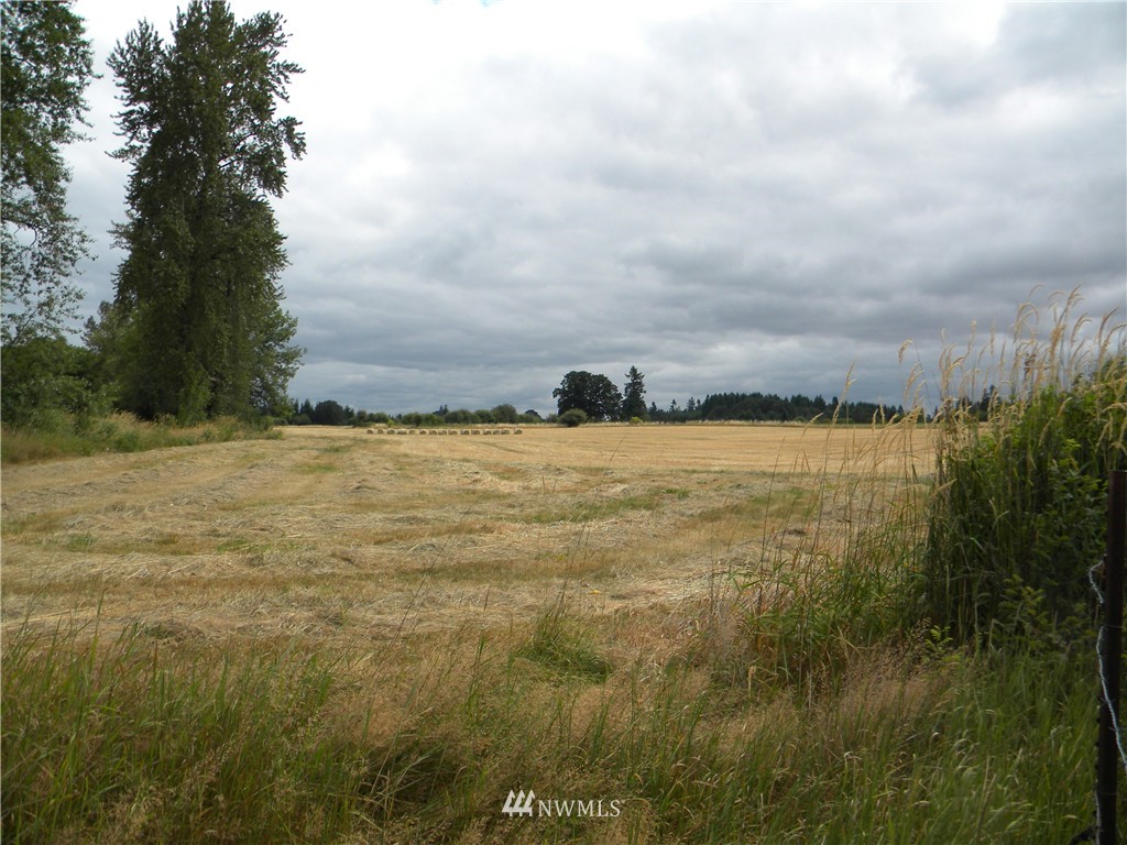 X Roth Road Winlock, WA 98596 - Photo 12 of 13