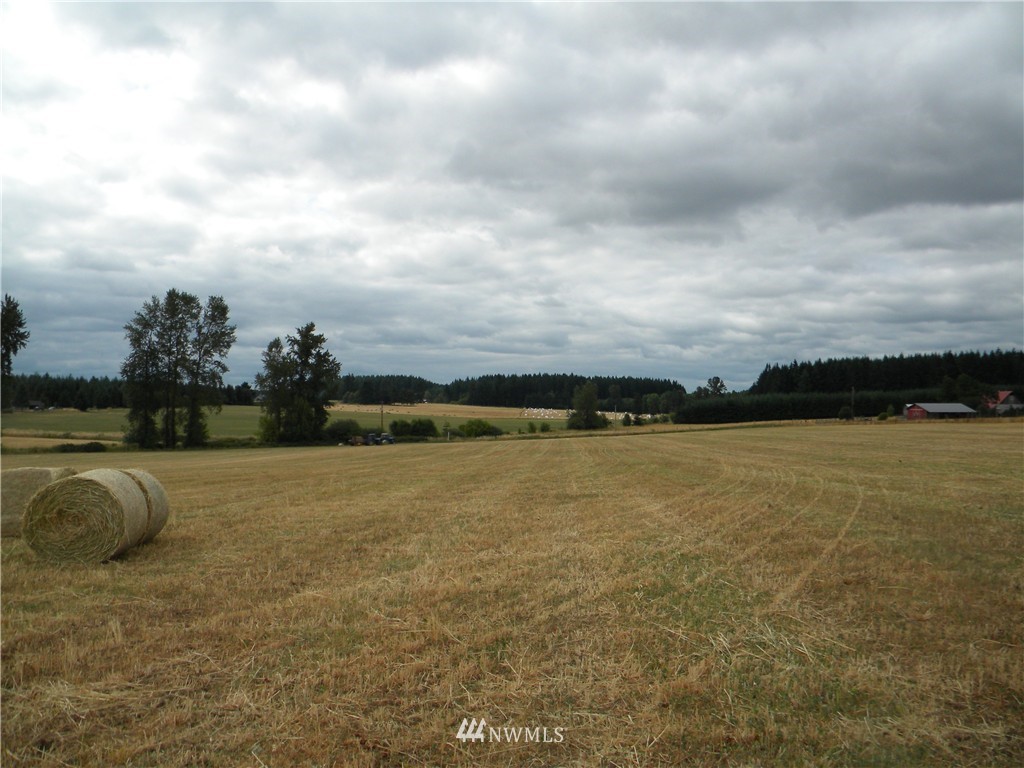 X Roth Road Winlock, WA 98596 - Photo 13 of 13