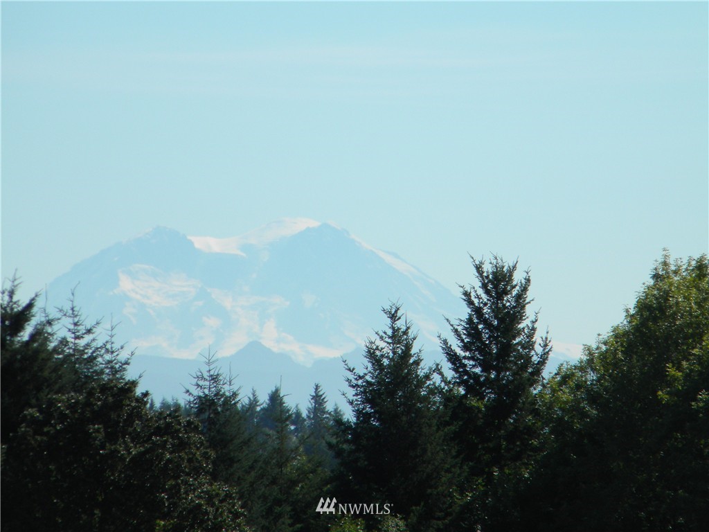 X Roth Road Winlock, WA 98596 - Photo 3 of 13