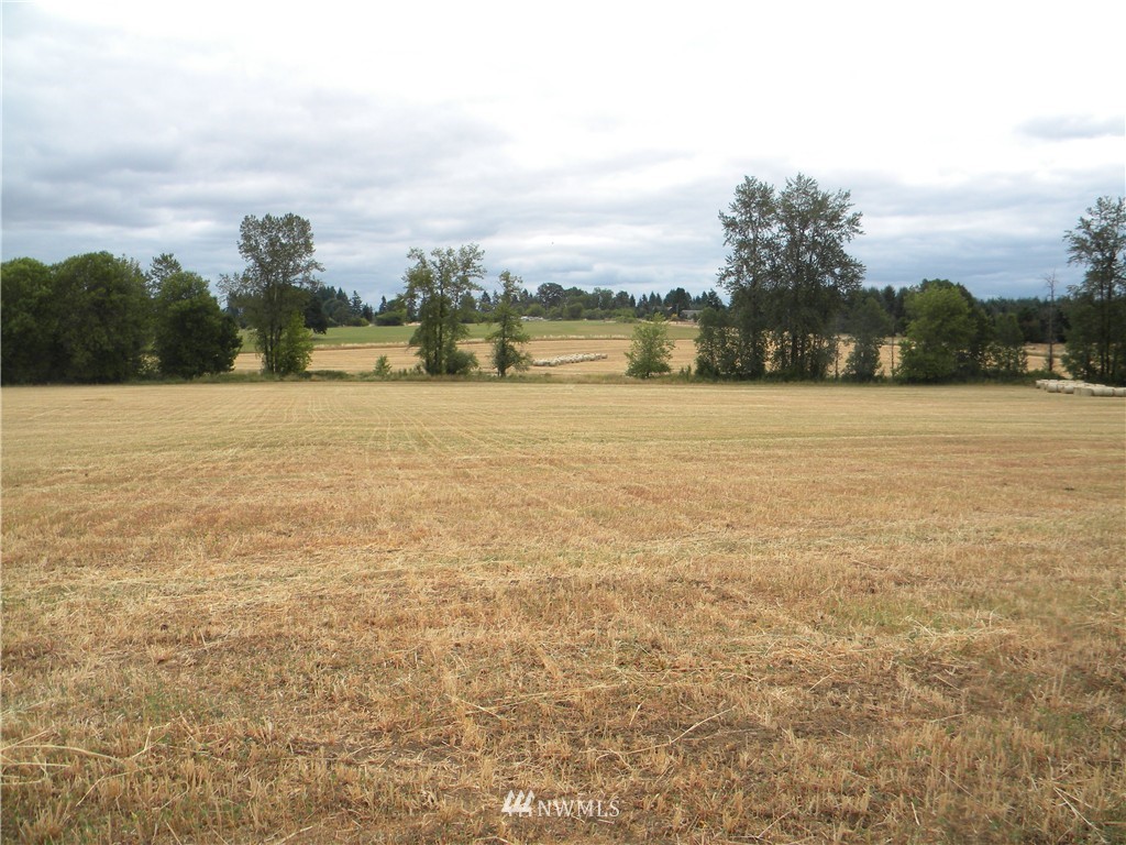 X Roth Road Winlock, WA 98596 - Photo 4 of 13