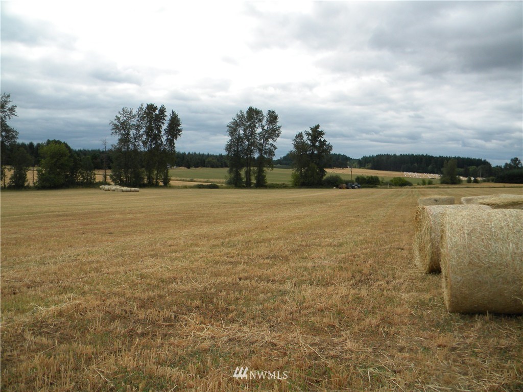 X Roth Road Winlock, WA 98596 - Photo 6 of 13