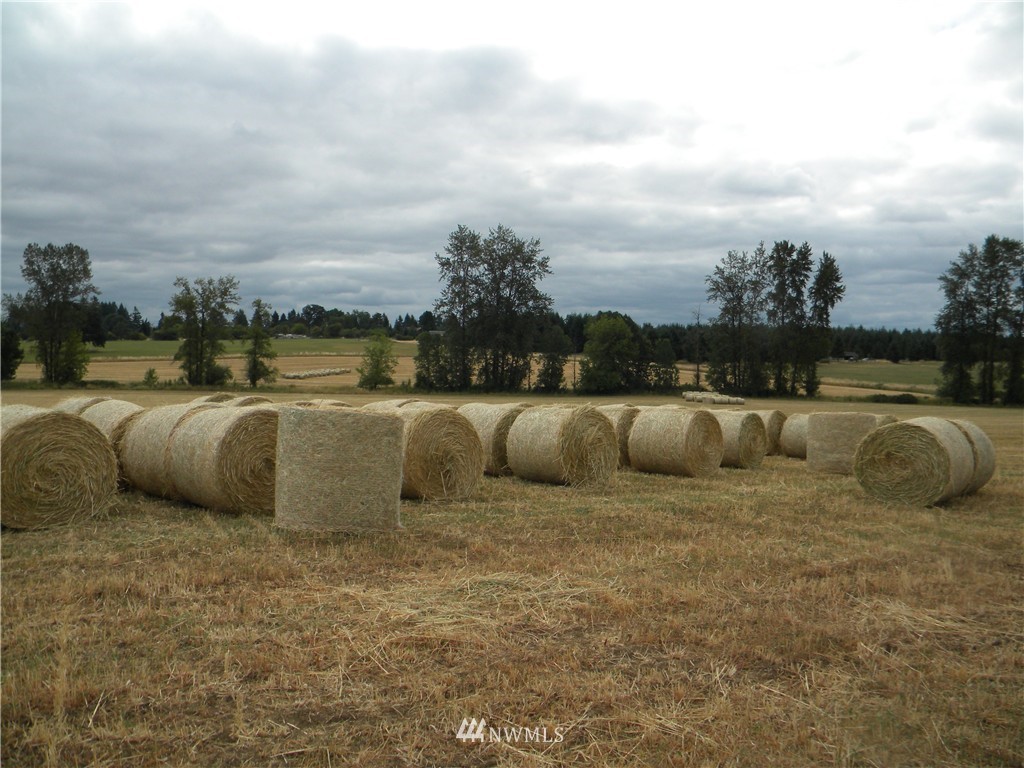 X Roth Road Winlock, WA 98596 - Photo 7 of 13