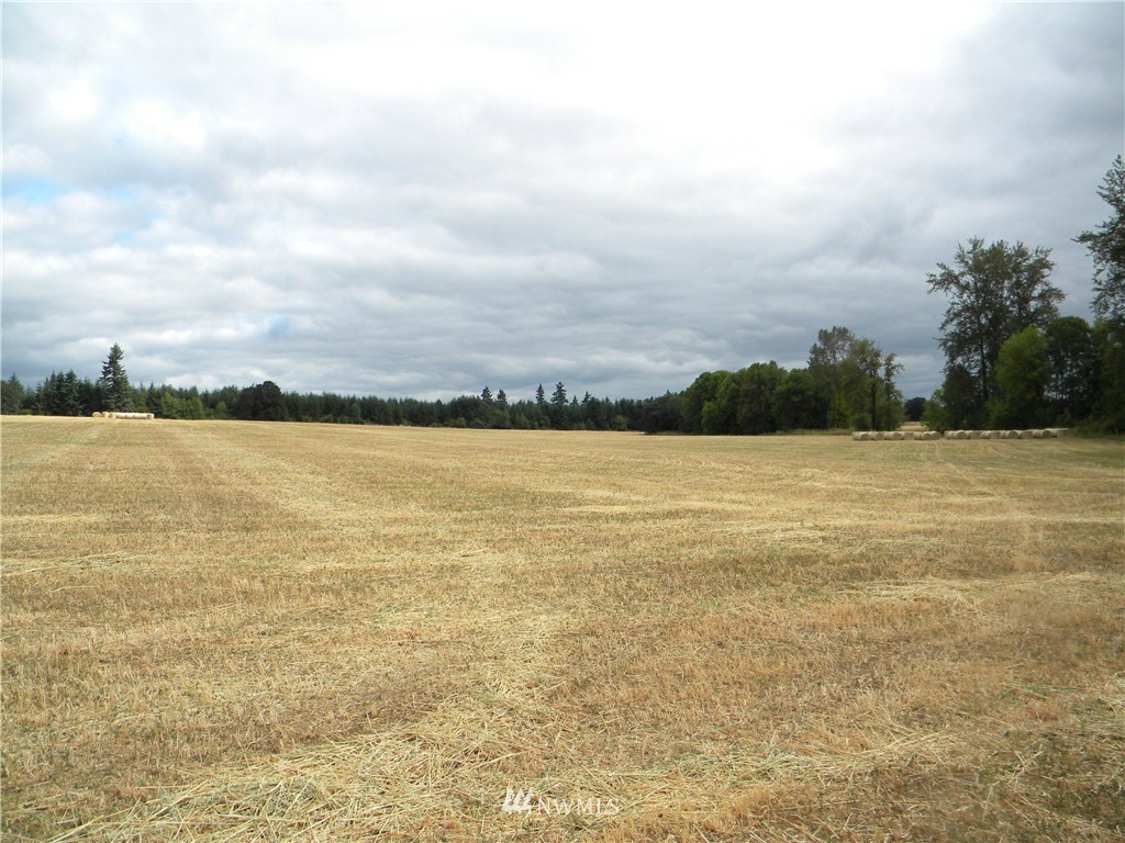 X Roth Road Winlock, WA 98596 - Photo 8 of 13