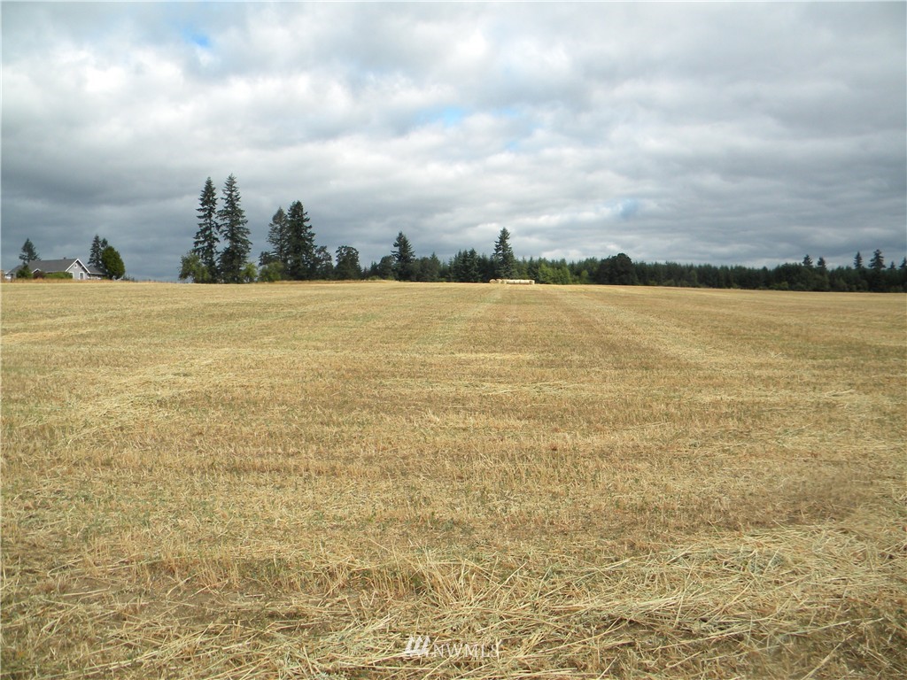 X Roth Road Winlock, WA 98596 - Photo 9 of 13
