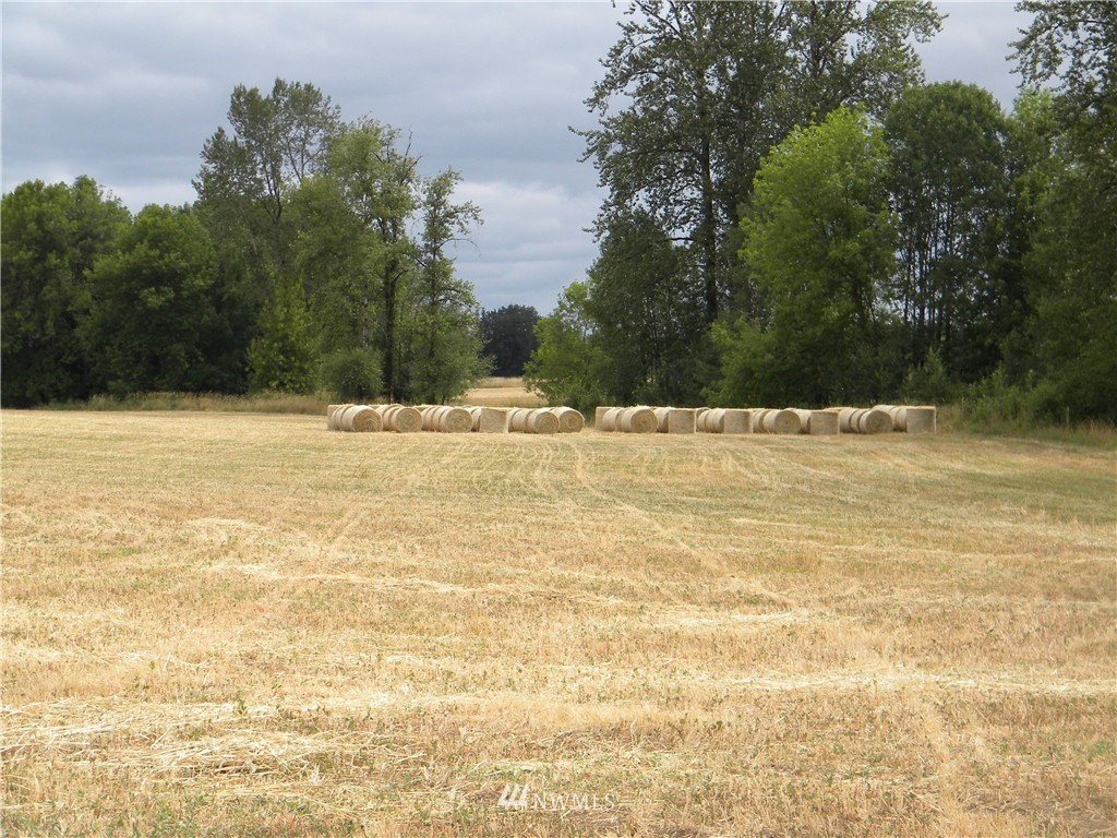 X Roth Road Winlock, WA 98596 - Photo 10 of 13