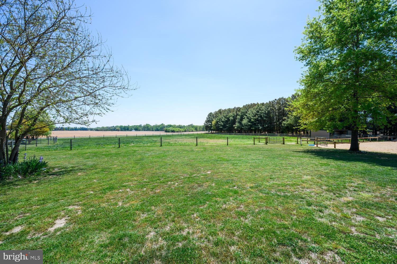 12104 Holly Road Ridgely, MD 21660 - Photo 44 of 44 Gallery Image 44