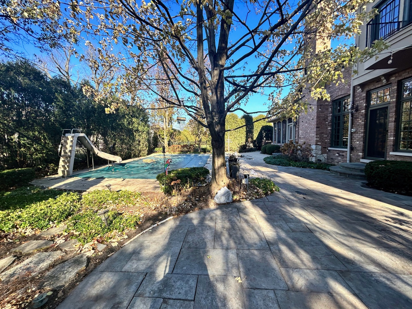 408 Elmore Street Park Ridge, IL 60068 - Photo 5 of 5 a view of a yard with a tree