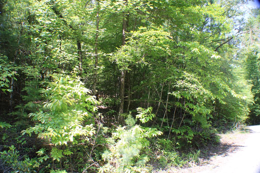 Lot #18 Sunset Road Epworth, GA 30541 - Photo 11 of 15