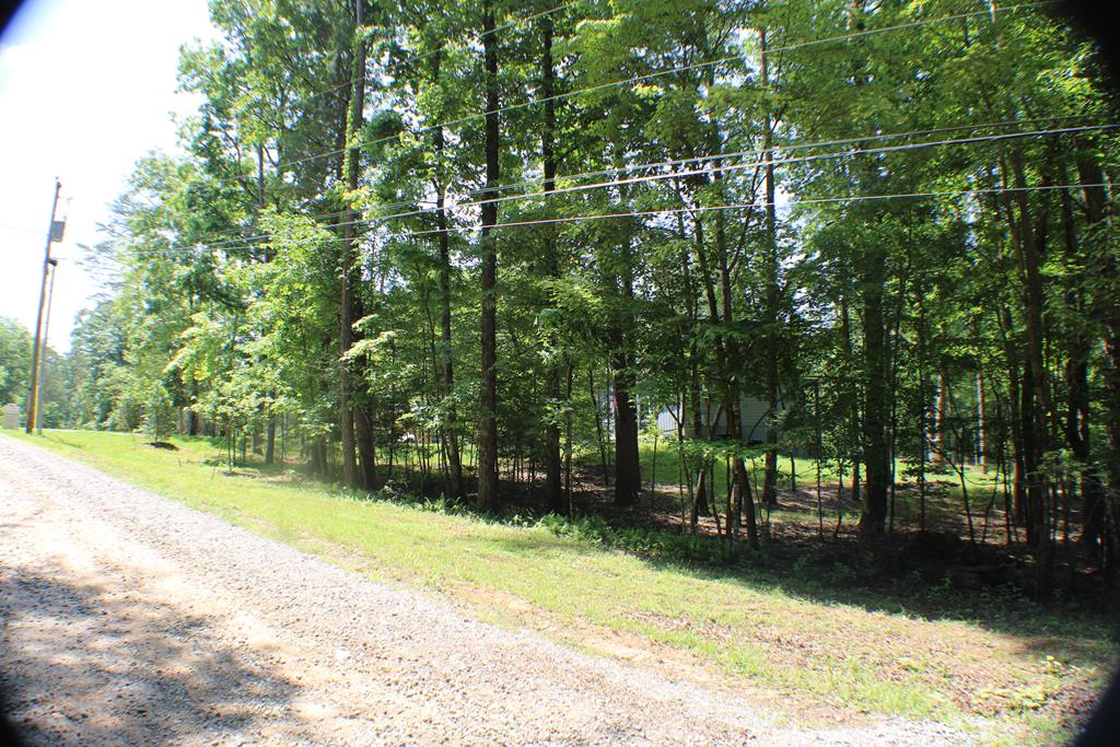 Lot #18 Sunset Road Epworth, GA 30541 - Photo 12 of 15