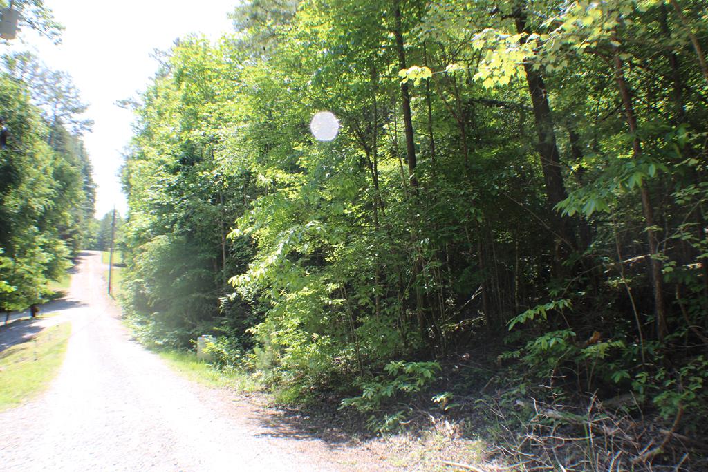 Lot #18 Sunset Road Epworth, GA 30541 - Photo 13 of 15