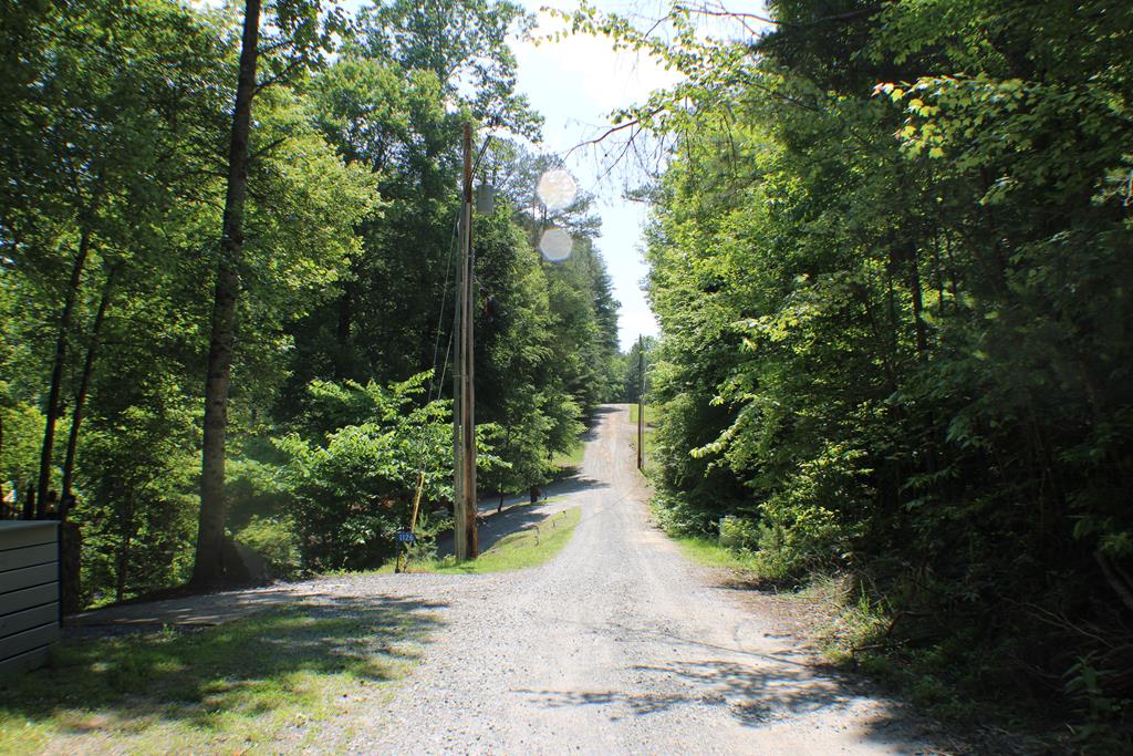 Lot #18 Sunset Road Epworth, GA 30541 - Photo 14 of 15